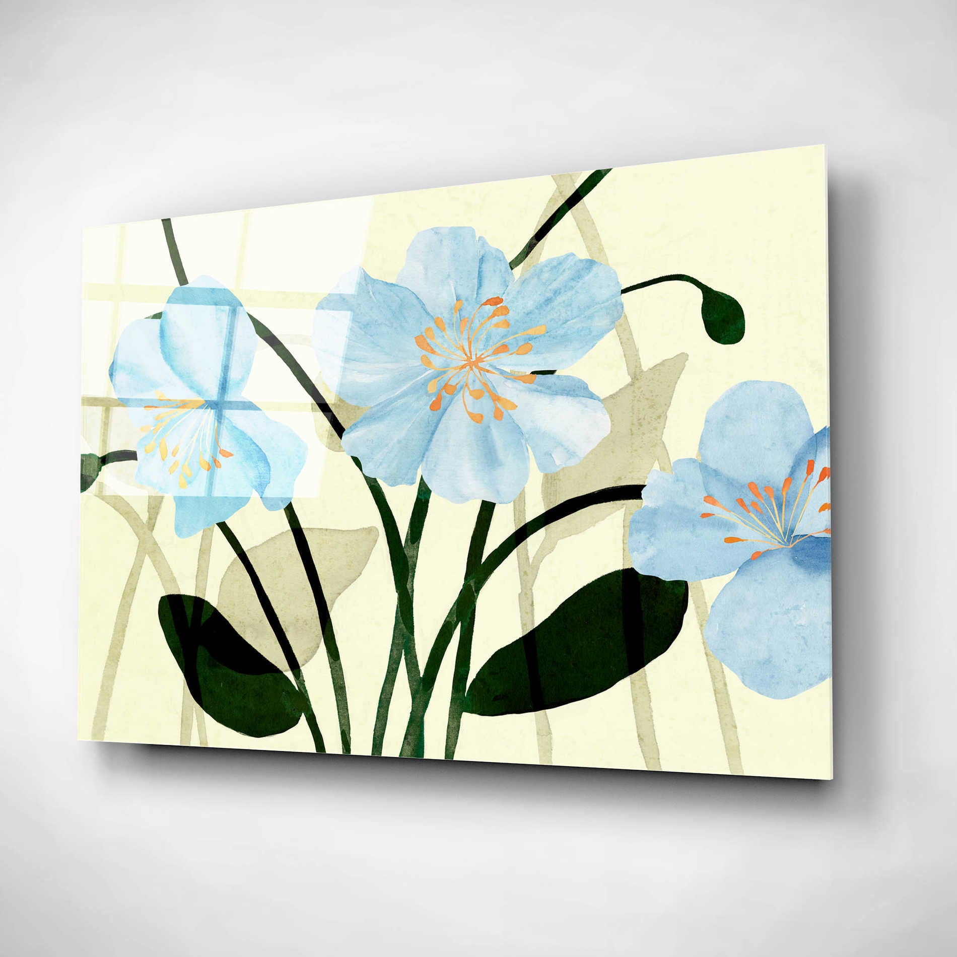 Epic Art 'Blue Poppies I' by Annie Warren, Acrylic Glass Wall Art,16x12