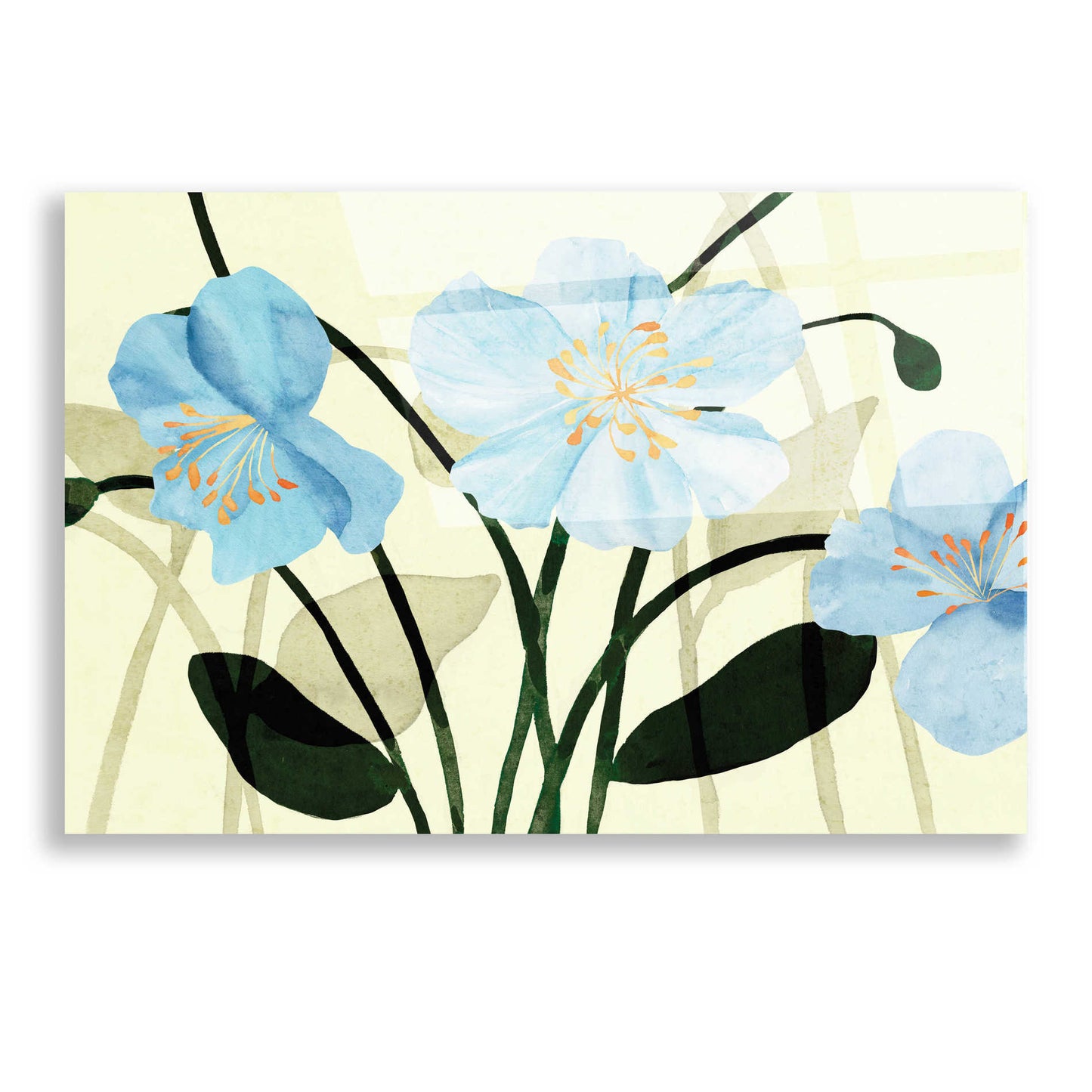 Epic Art 'Blue Poppies I' by Annie Warren, Acrylic Glass Wall Art,16x12