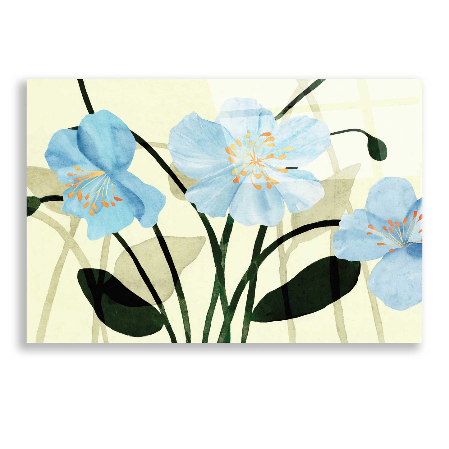 Epic Art 'Blue Poppies I' by Annie Warren, Acrylic Glass Wall Art,24x16