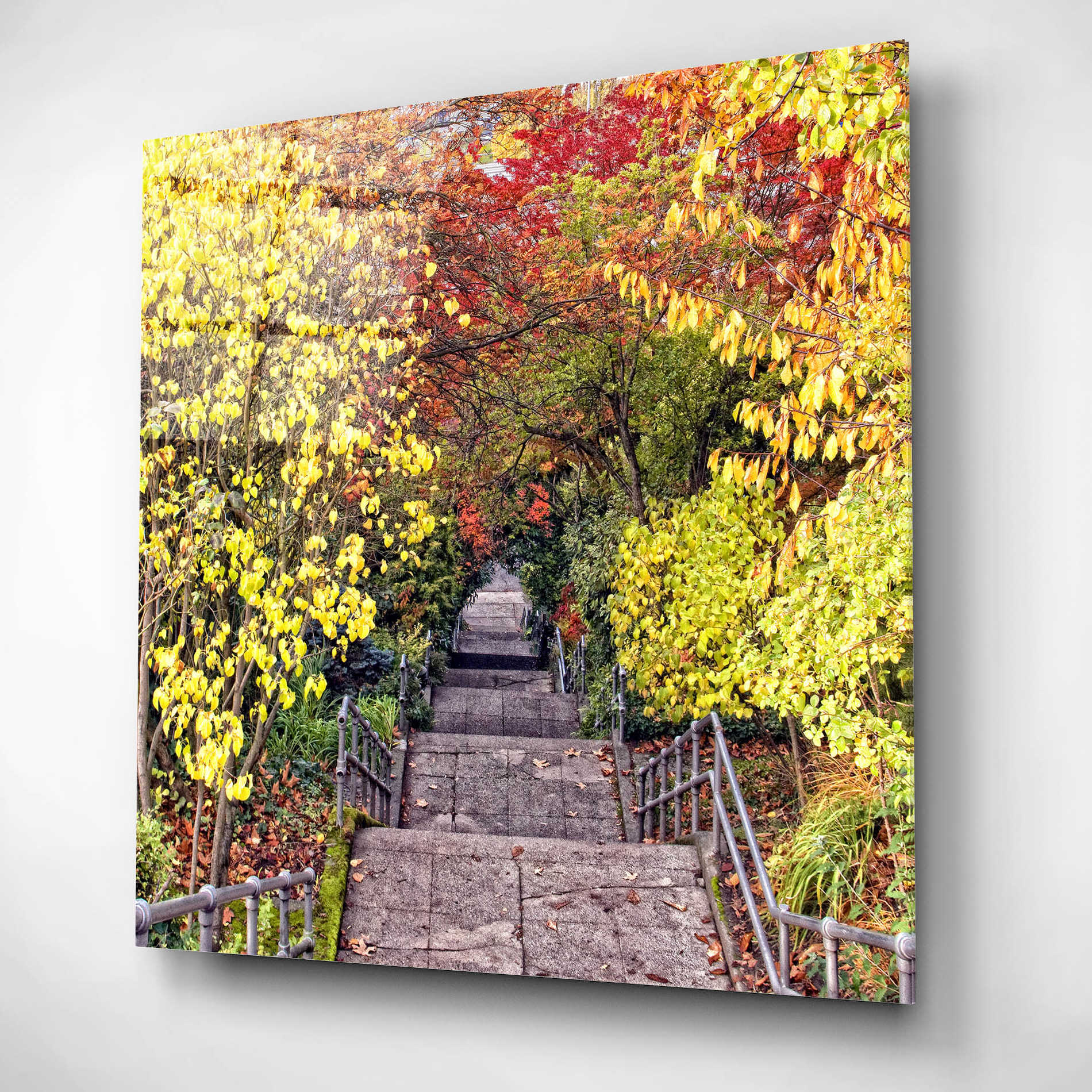 Epic Art 'Autumn Tunnel' by Colby Chester, Acrylic Glass Wall Art,12x12