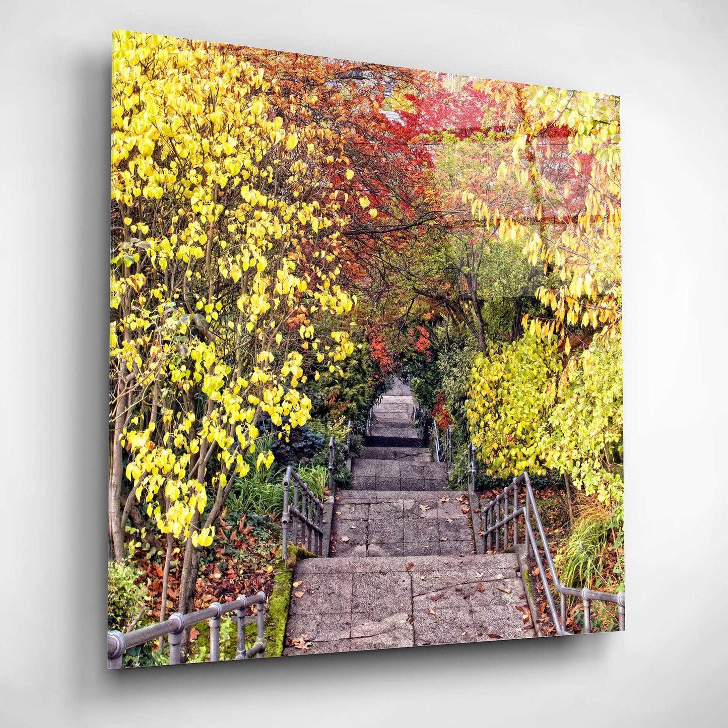 Epic Art 'Autumn Tunnel' by Colby Chester, Acrylic Glass Wall Art,12x12