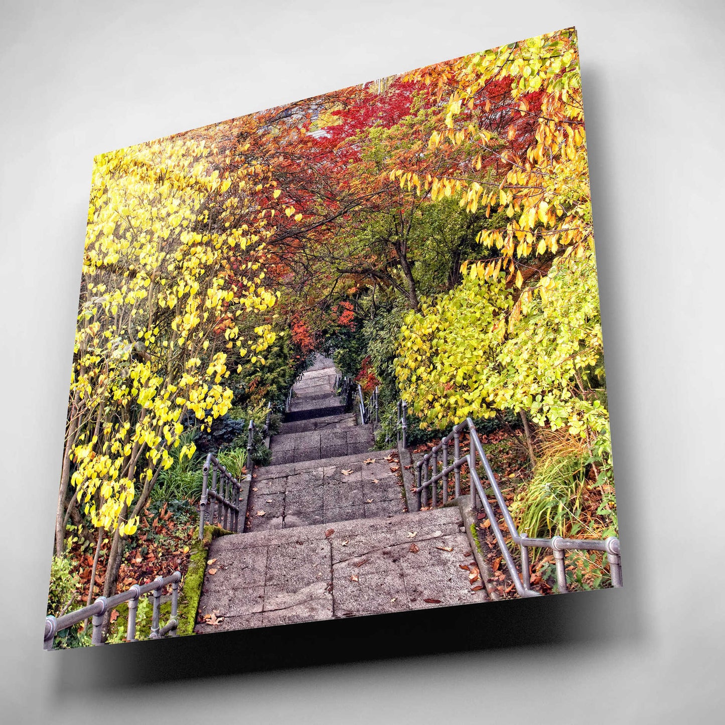 Epic Art 'Autumn Tunnel' by Colby Chester, Acrylic Glass Wall Art,12x12