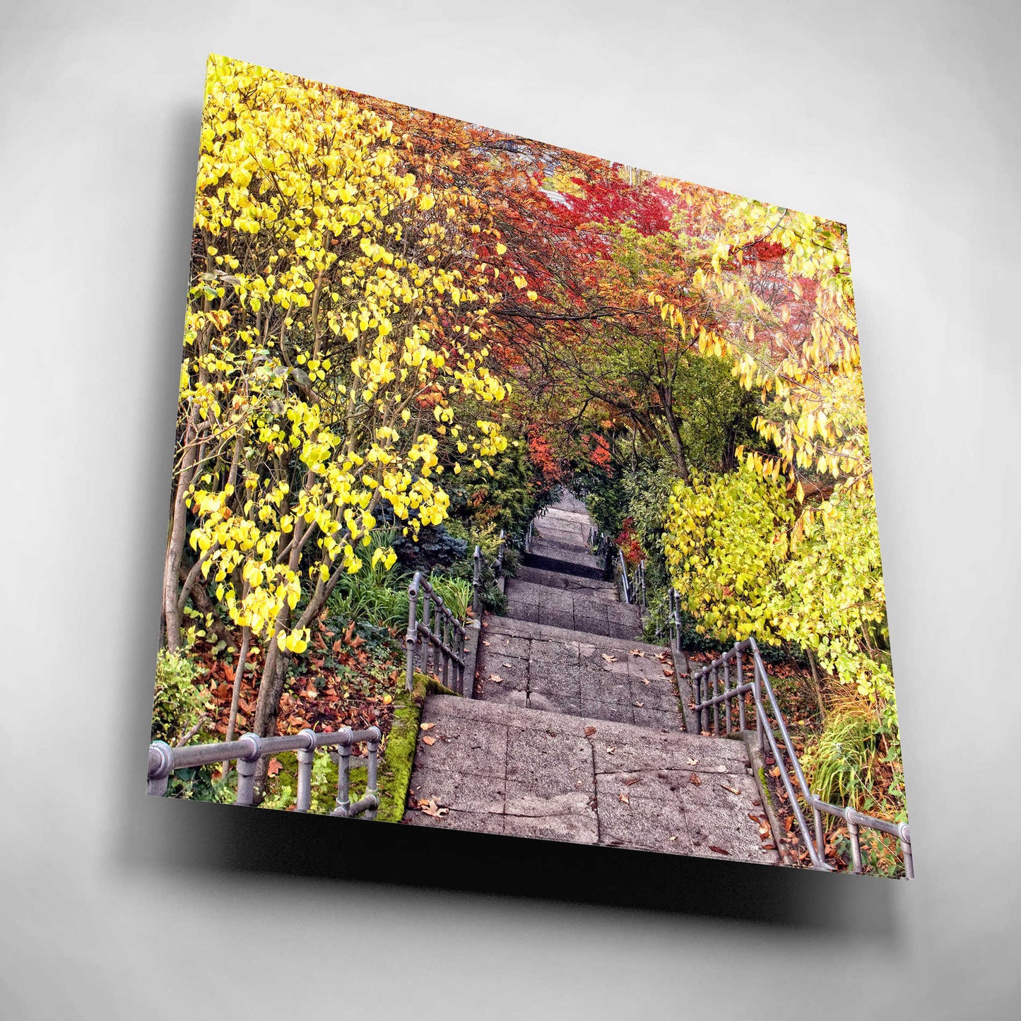 Epic Art 'Autumn Tunnel' by Colby Chester, Acrylic Glass Wall Art,12x12