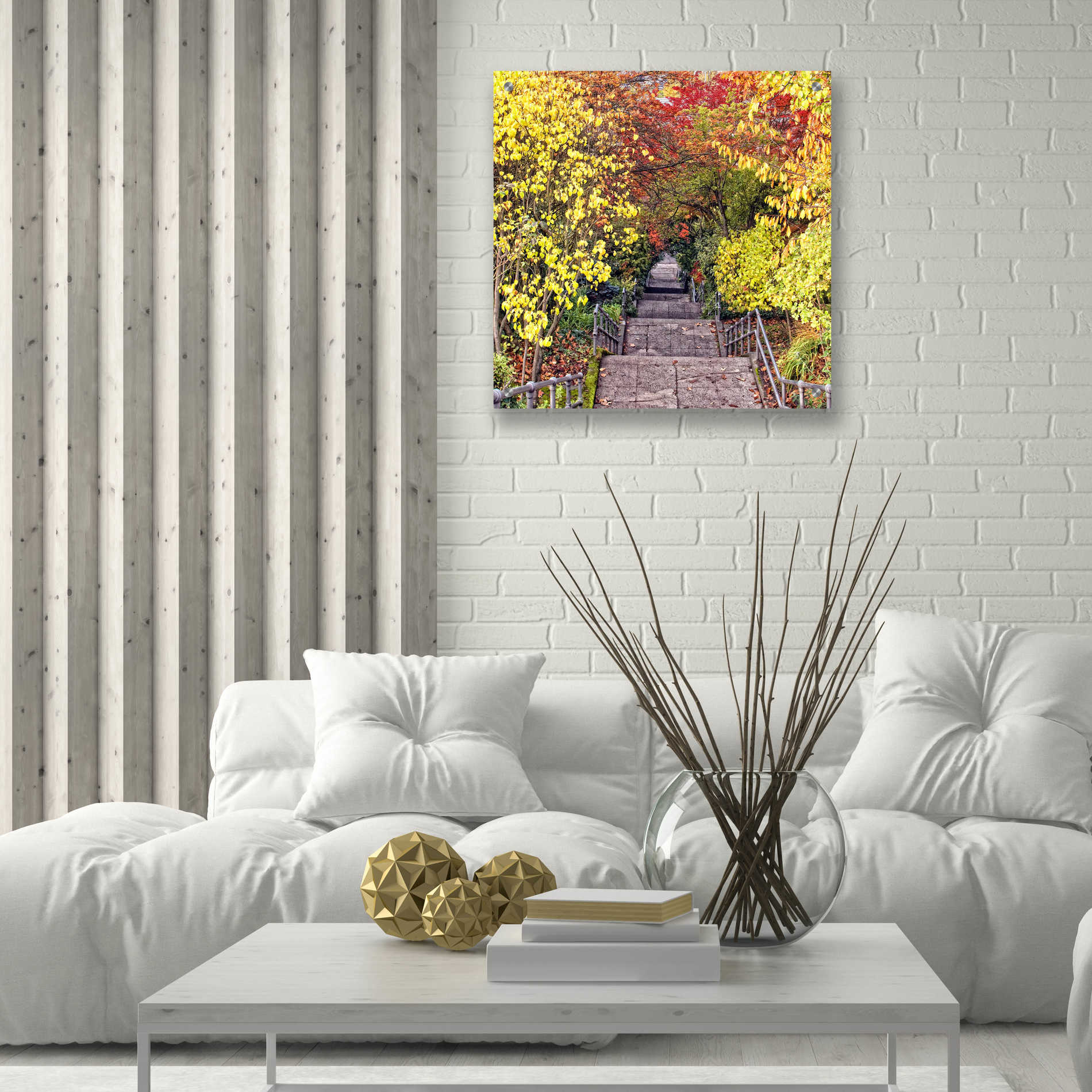 Epic Art 'Autumn Tunnel' by Colby Chester, Acrylic Glass Wall Art,24x24