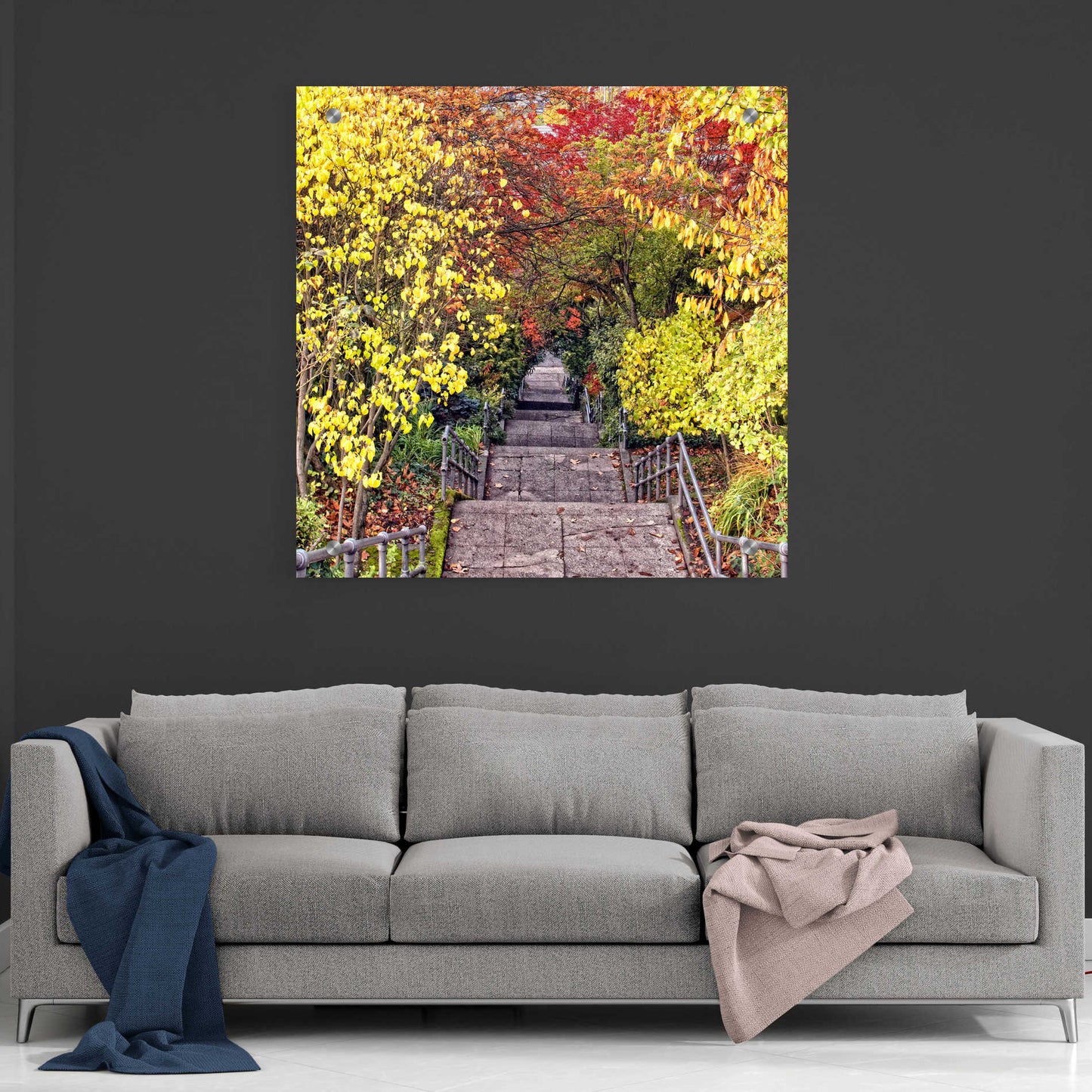 Epic Art 'Autumn Tunnel' by Colby Chester, Acrylic Glass Wall Art,36x36