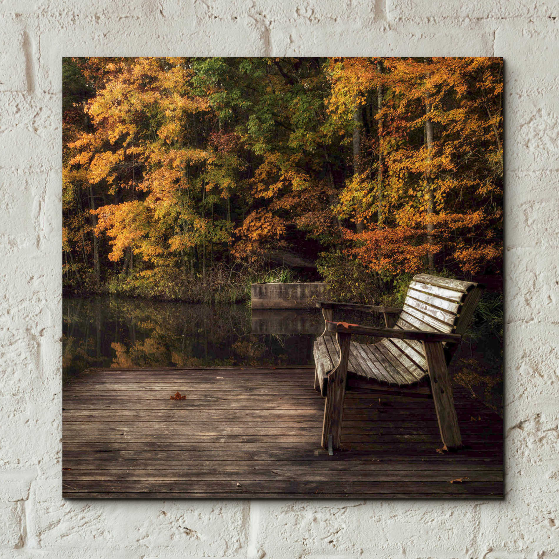 Epic Art 'Autumn Rest' by Danny Head, Acrylic Glass Wall Art,12x12