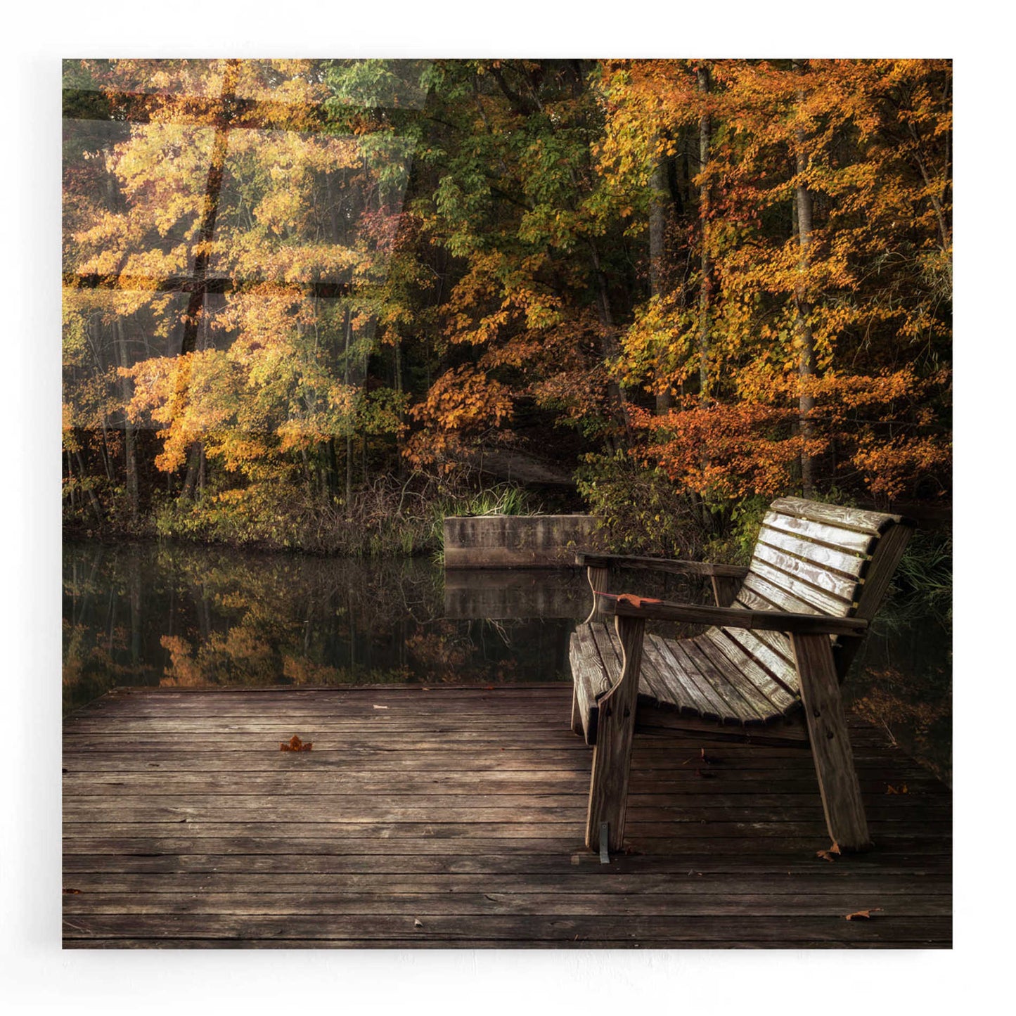 Epic Art 'Autumn Rest' by Danny Head, Acrylic Glass Wall Art,12x12