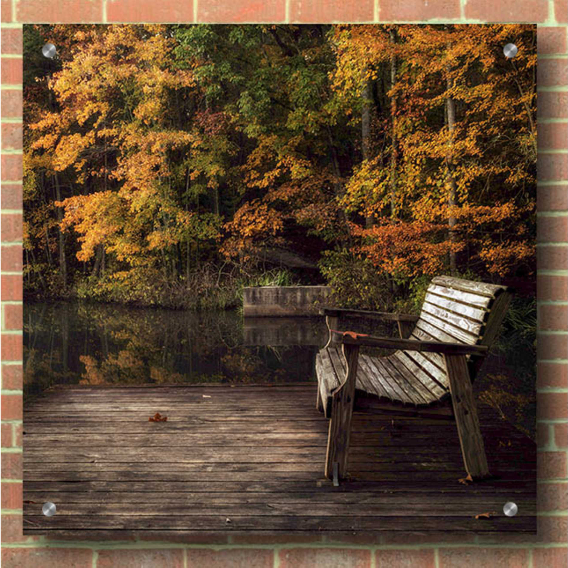 Epic Art 'Autumn Rest' by Danny Head, Acrylic Glass Wall Art,36x36