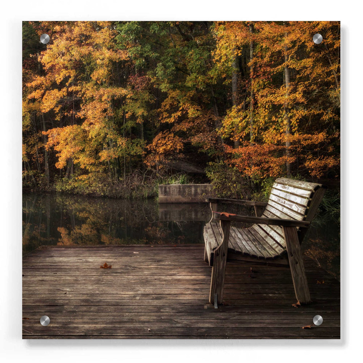 Epic Art 'Autumn Rest' by Danny Head, Acrylic Glass Wall Art,36x36