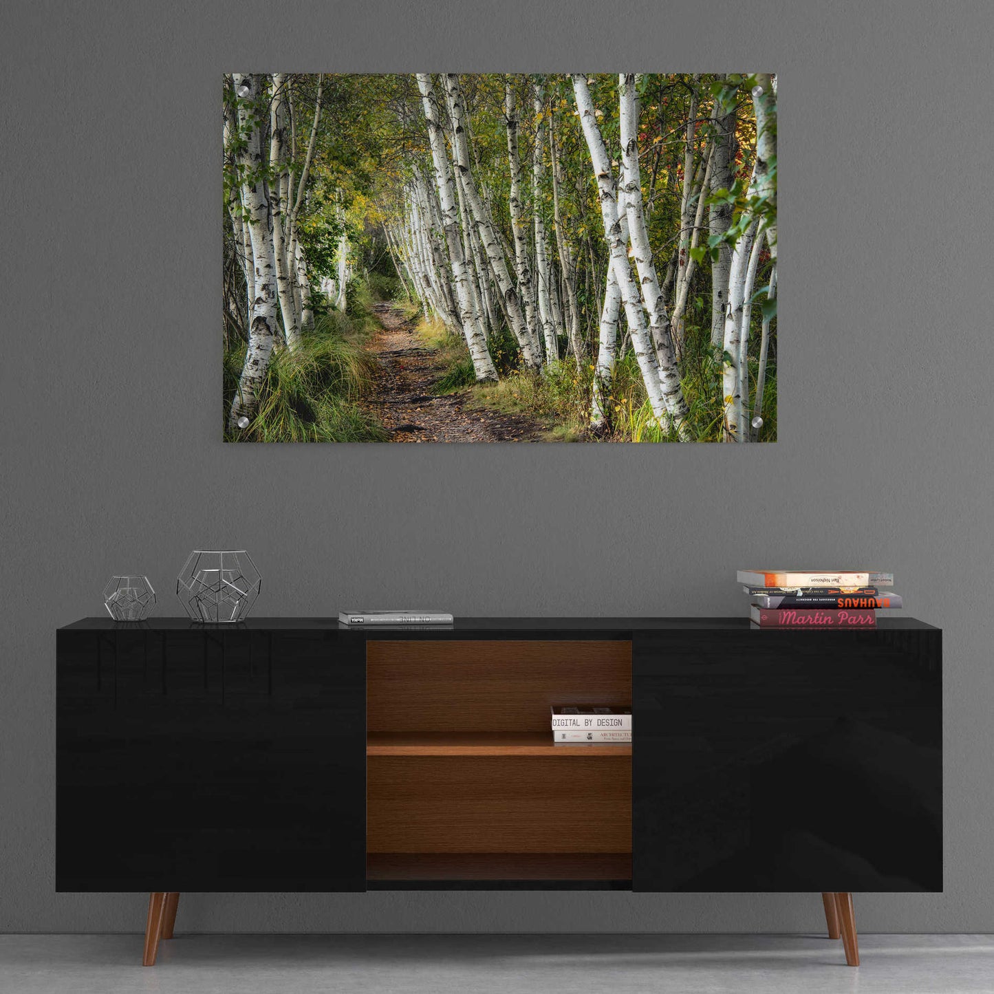 Epic Art 'A Walk Through the Birch Trees' by Danny Head, Acrylic Glass Wall Art,36x24