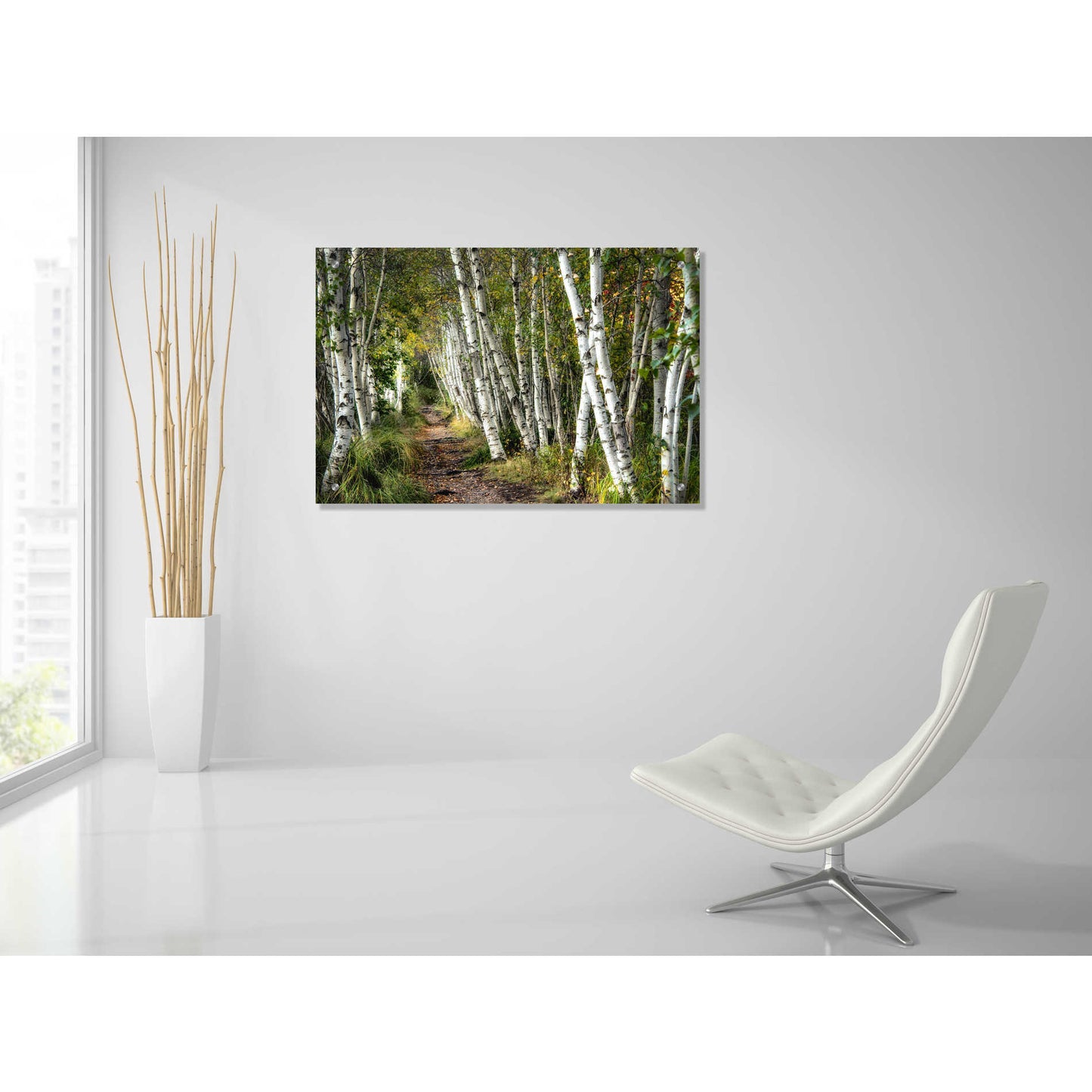 Epic Art 'A Walk Through the Birch Trees' by Danny Head, Acrylic Glass Wall Art,36x24