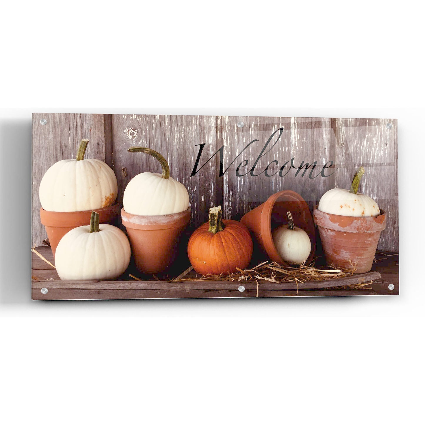 Epic Art 'Welcome Pumpkin' by Anthony Smith, Acrylic Glass Wall Art,24x12