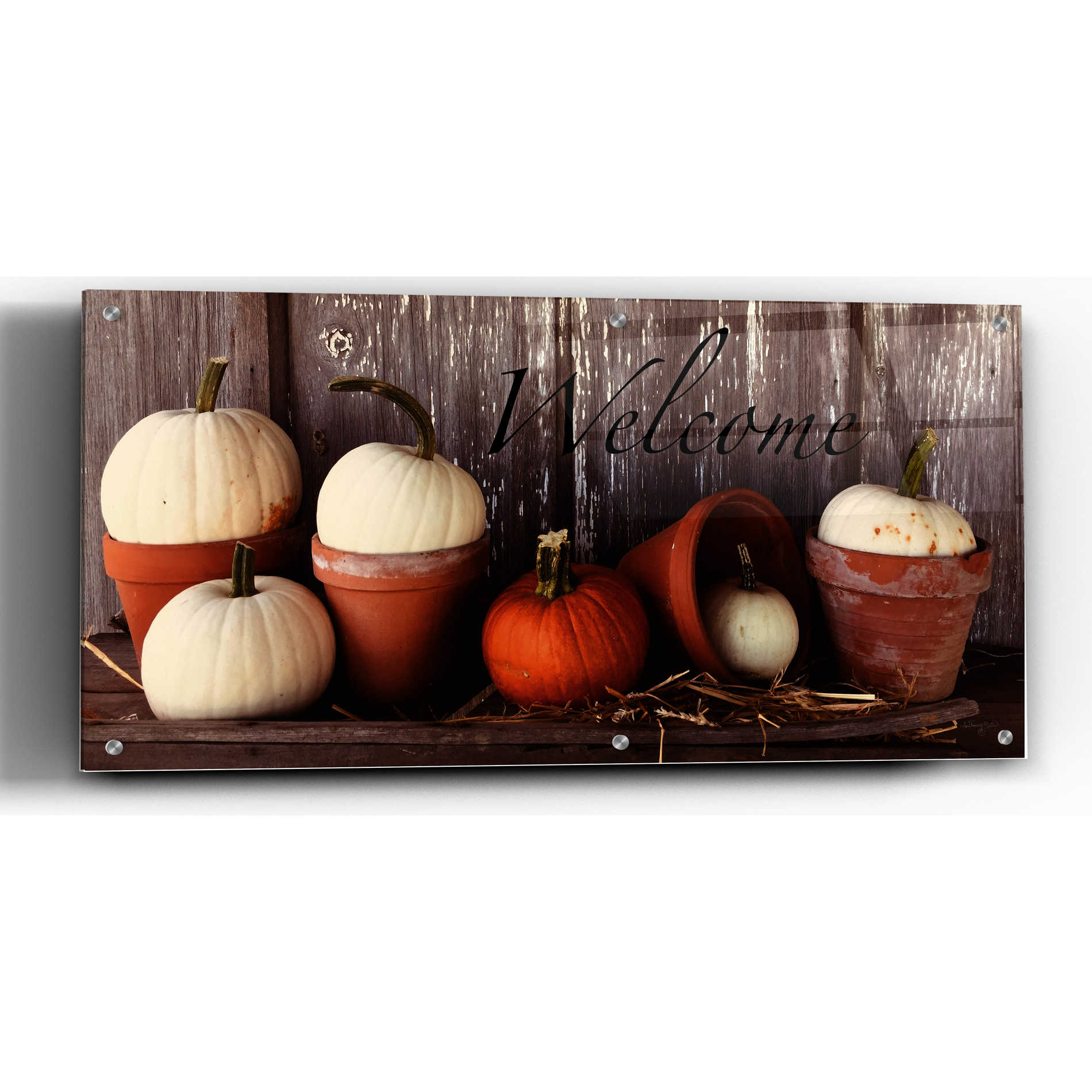 Epic Art 'Welcome Pumpkin' by Anthony Smith, Acrylic Glass Wall Art,24x12