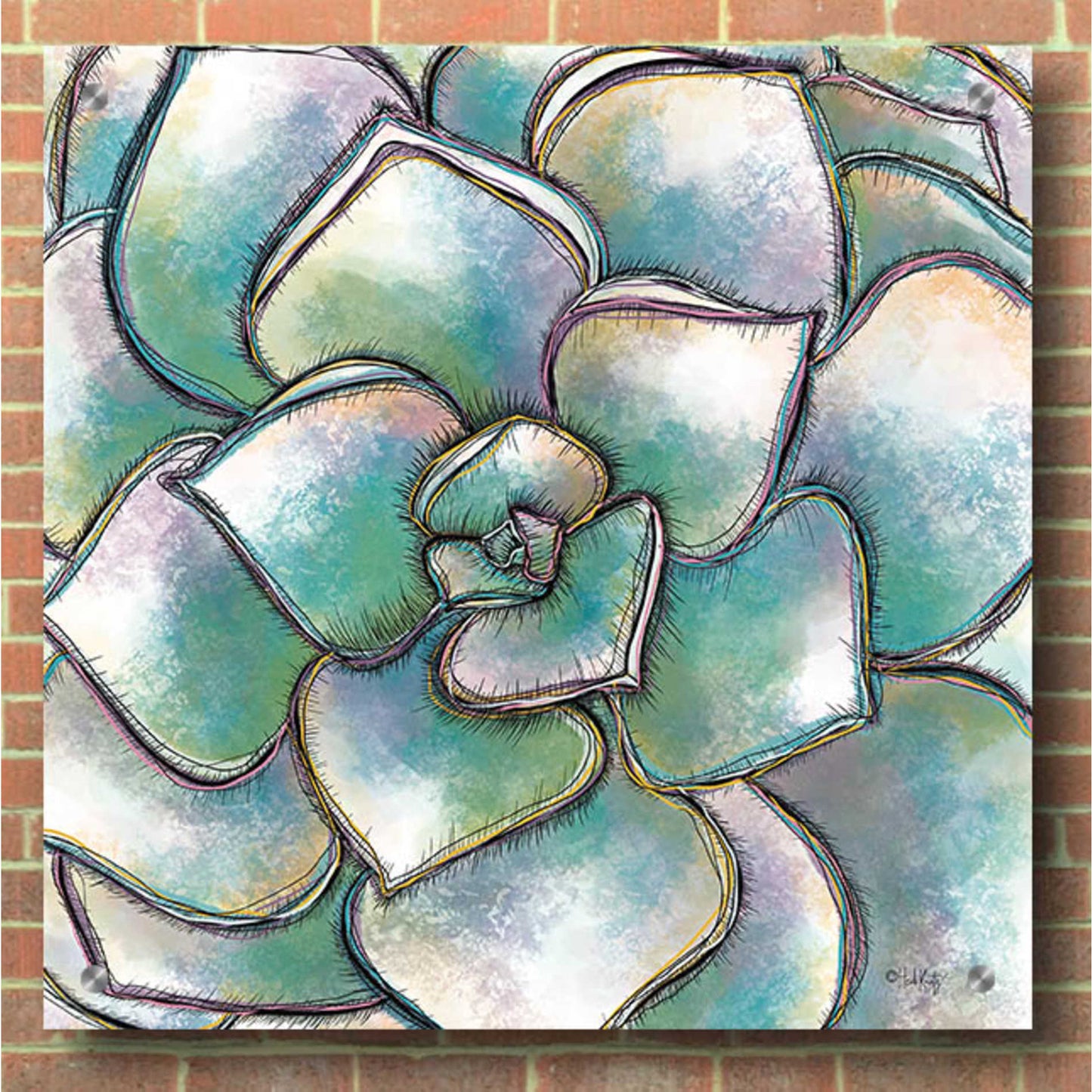 Epic Art 'Playful Succulent' by Heidi Kuntz, Acrylic Glass Wall Art,36x36