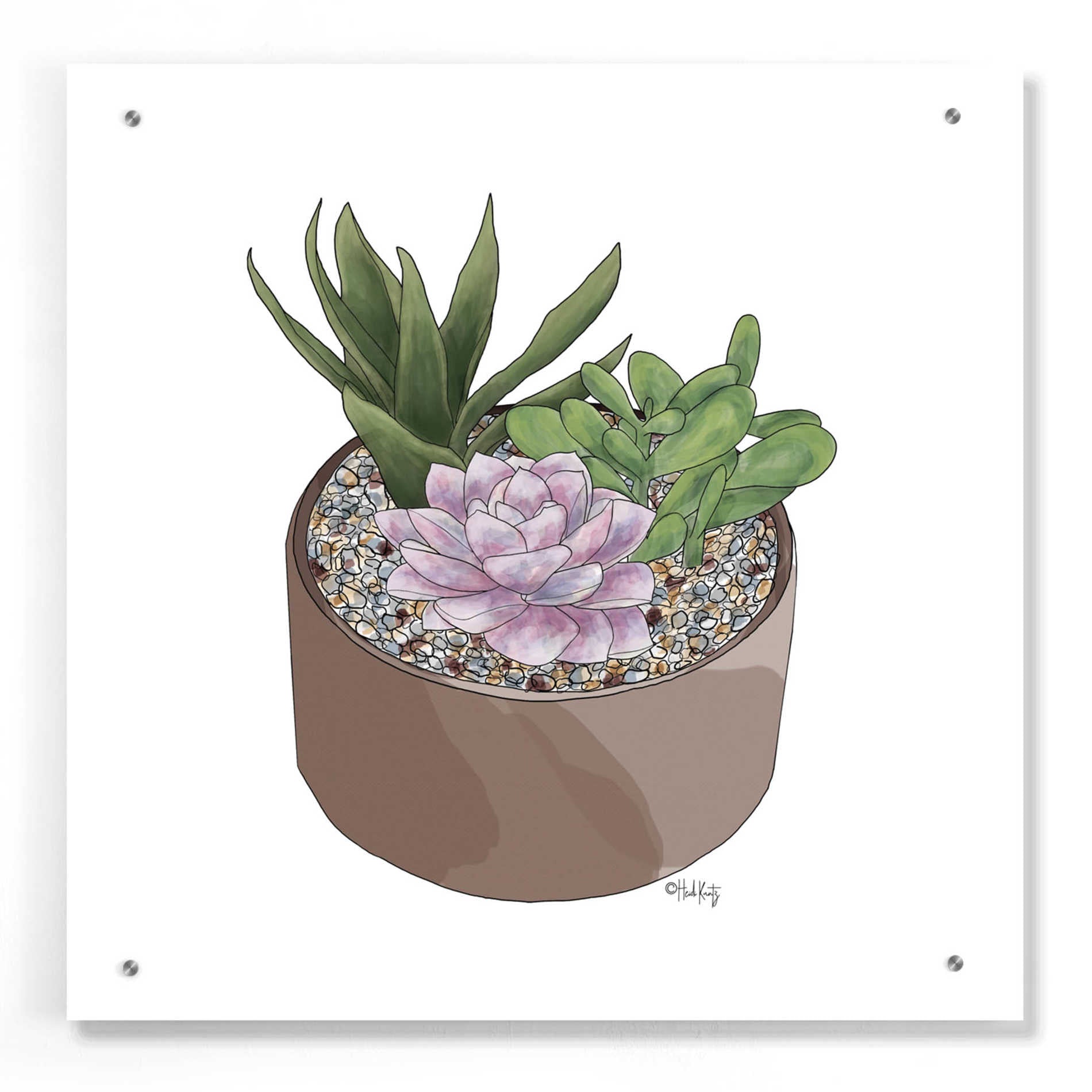 Epic Art 'Succulent Planter I' by Heidi Kuntz, Acrylic Glass Wall Art,24x24