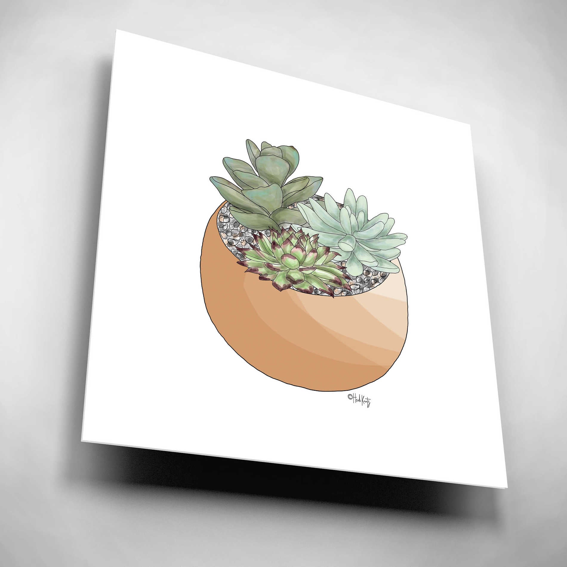 aesthetic succulent pots Epic Art 'Succulent Planter II' by Heidi Kuntz, Acrylic Glass Wall Art – EpicArt.com
