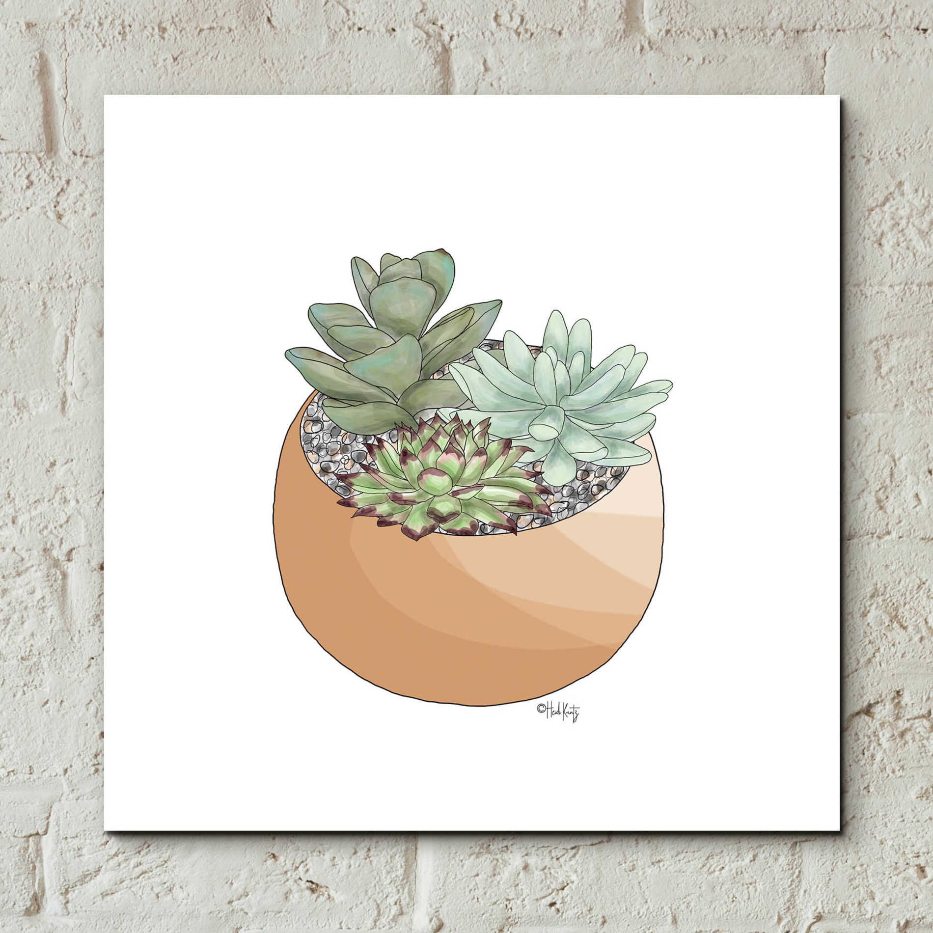 succulent pot drawing Epic Art 'Succulent Planter II' by Heidi Kuntz, Acrylic Glass Wall Art – EpicArt.com