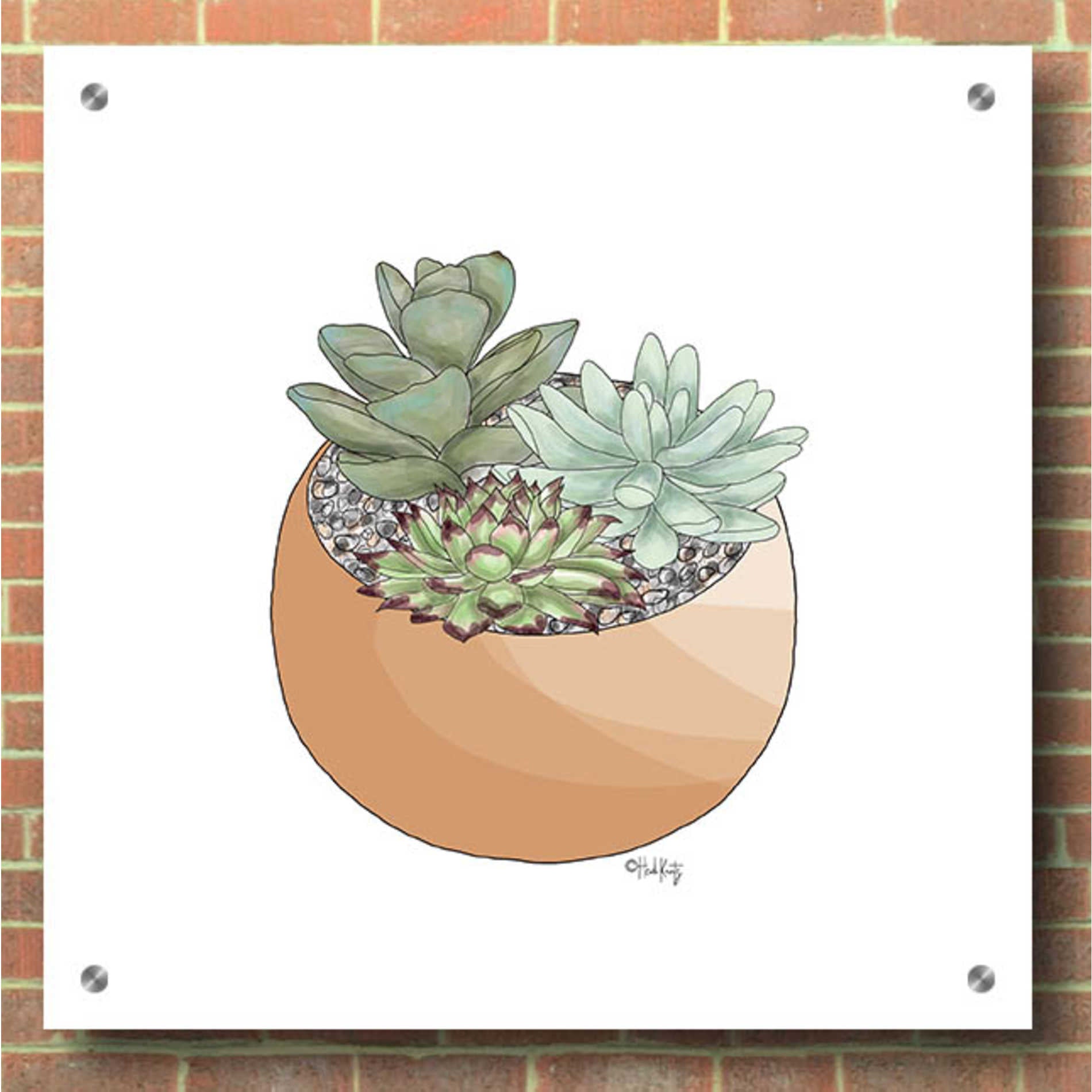 succulent wall hanging pots Epic Art 'Succulent Planter II' by Heidi Kuntz, Acrylic Glass Wall Art – EpicArt.com