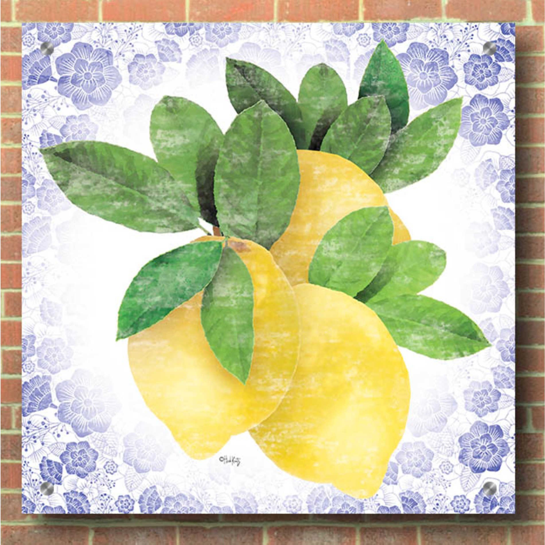 Epic Art 'Summer Lemons I' by Heidi Kuntz, Acrylic Glass Wall Art,36x36