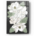 Epic Art 'Cascading Magnolias' by Heidi Kuntz, Acrylic Glass Wall Art