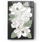 Epic Art 'Cascading Magnolias' by Heidi Kuntz, Acrylic Glass Wall Art