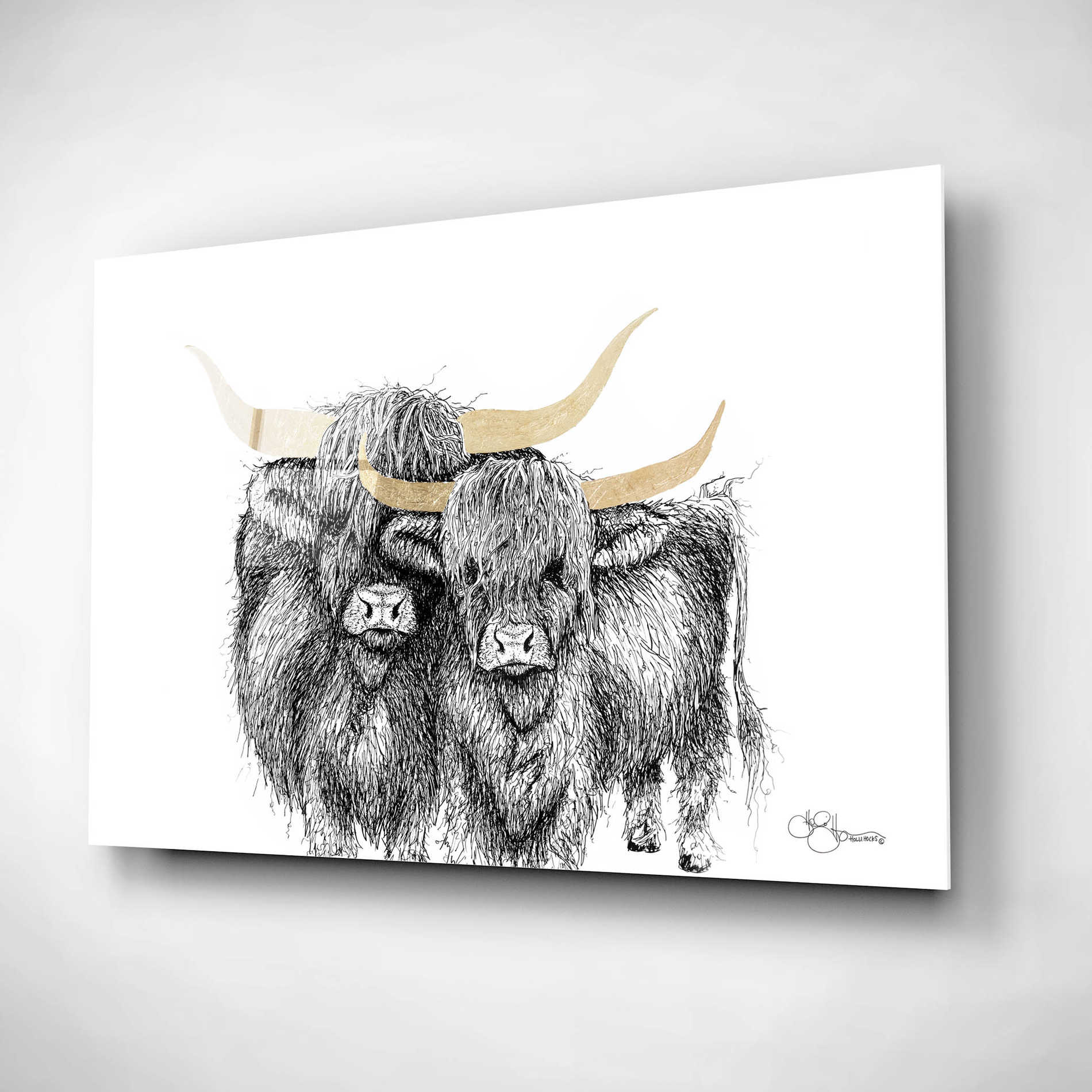 Epic Art 'Highland Cattle' by Hollihocks Art, Acrylic Glass Wall Art,16x12