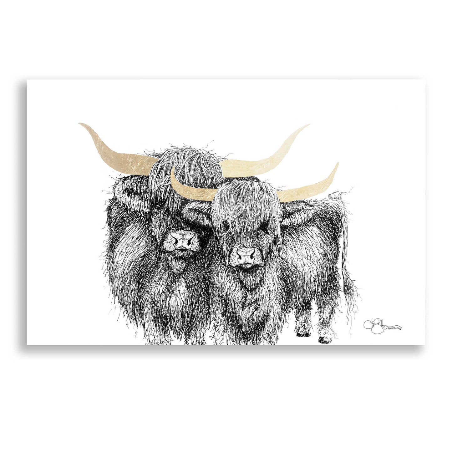 Epic Art 'Highland Cattle' by Hollihocks Art, Acrylic Glass Wall Art,16x12