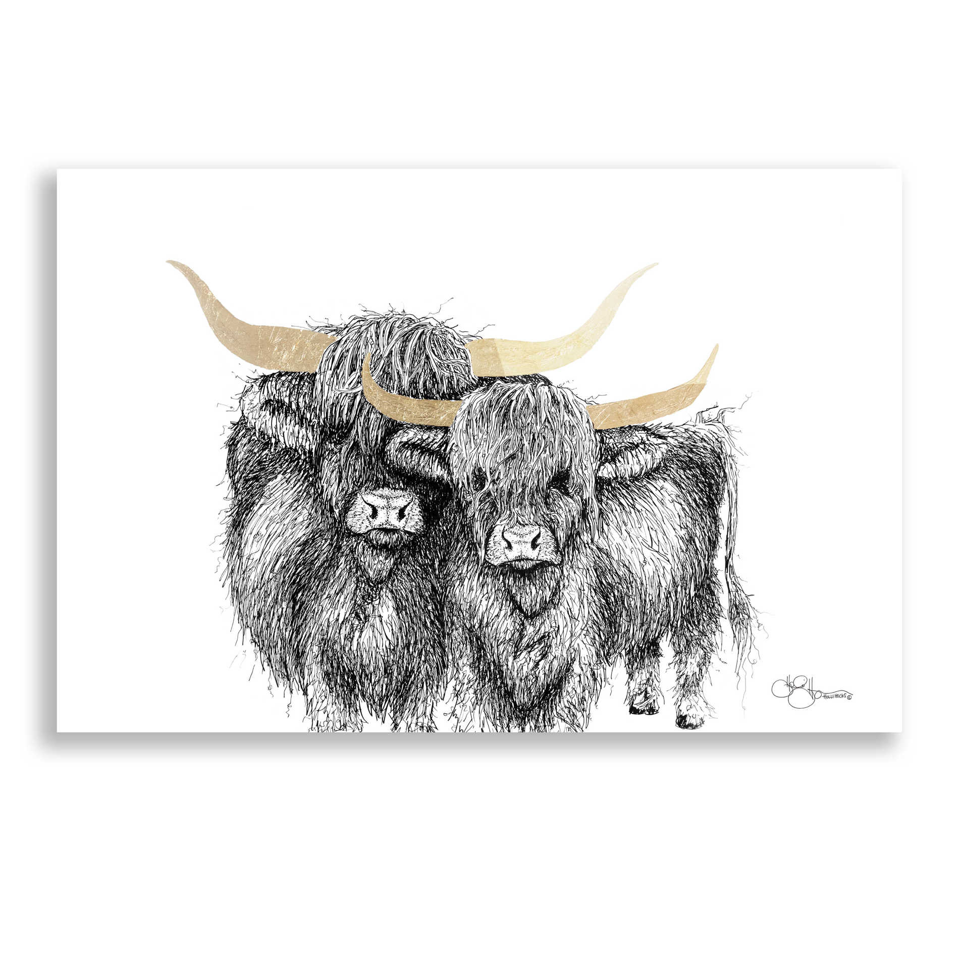 Epic Art 'Highland Cattle' by Hollihocks Art, Acrylic Glass Wall Art,24x16