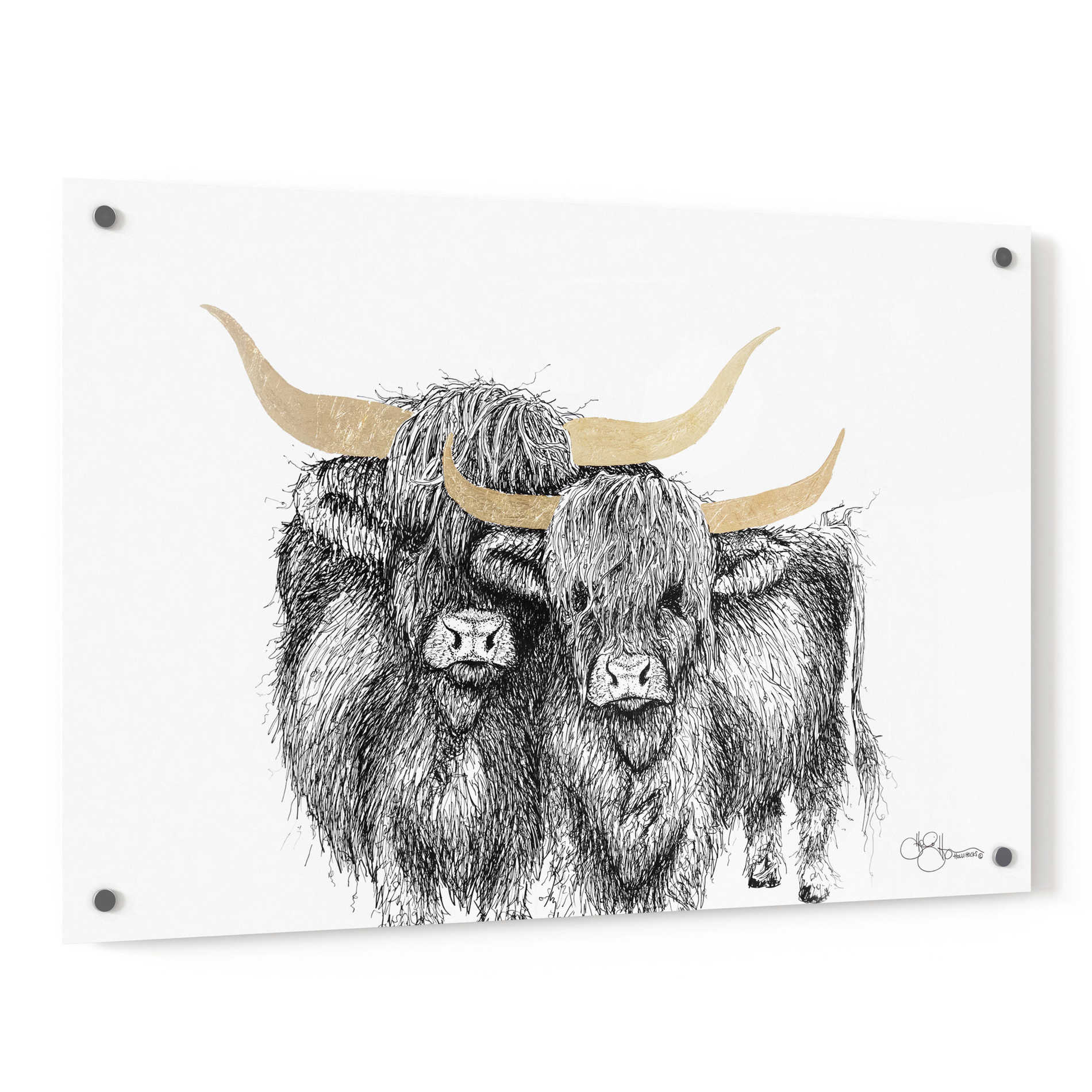 Epic Art 'Highland Cattle' by Hollihocks Art, Acrylic Glass Wall Art,36x24