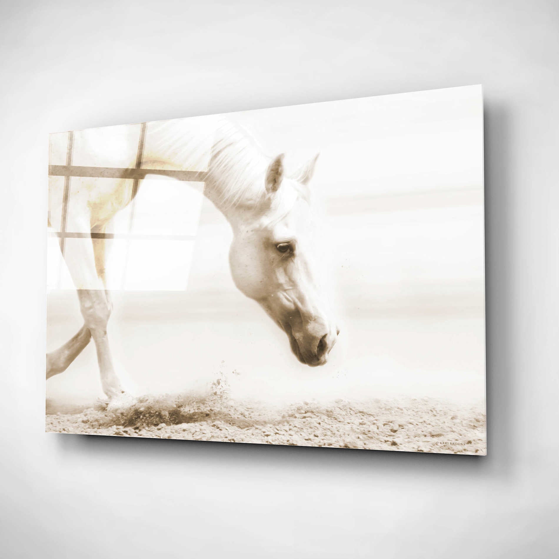 Epic Art 'Trail Horse Sepia' by Kari Brooks, Acrylic Glass Wall Art,16x12