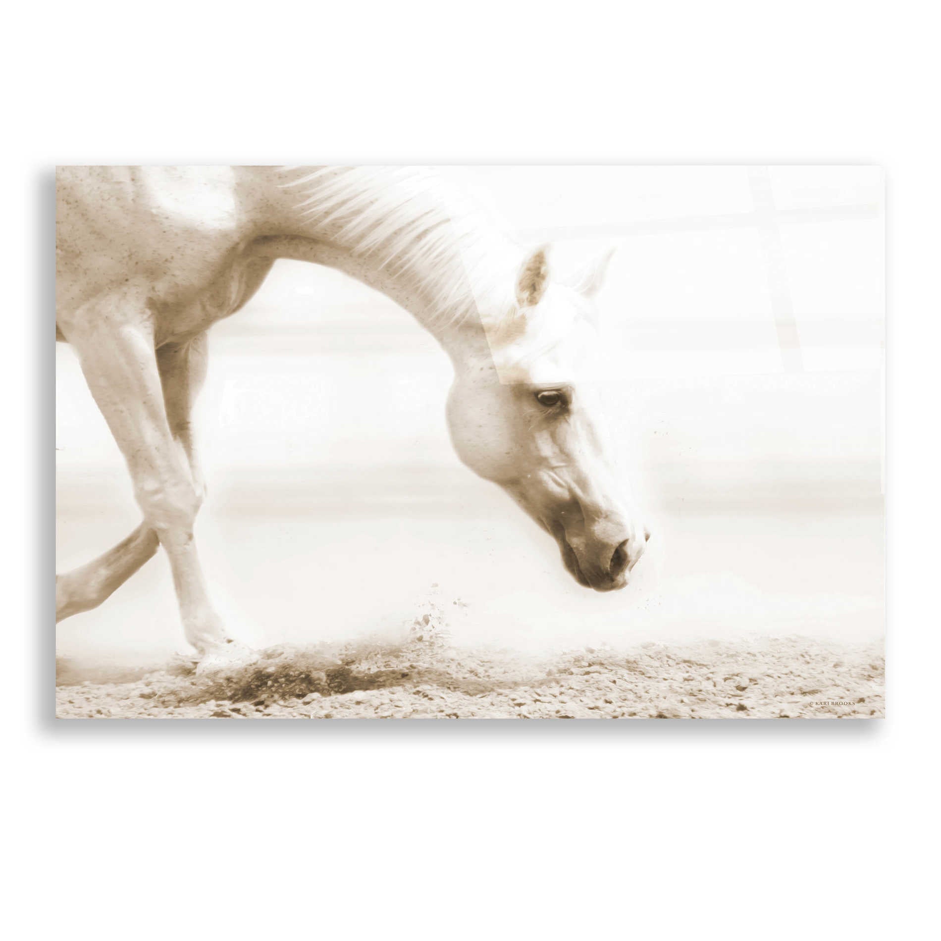 Epic Art 'Trail Horse Sepia' by Kari Brooks, Acrylic Glass Wall Art,24x16