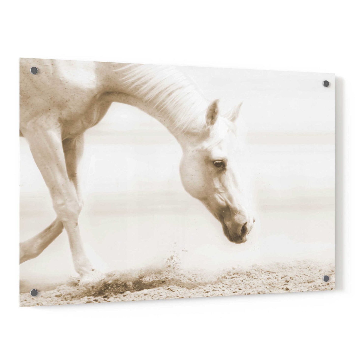 Epic Art 'Trail Horse Sepia' by Kari Brooks, Acrylic Glass Wall Art,36x24