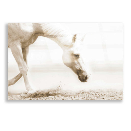 Epic Art 'Trail Horse Sepia' by Kari Brooks, Acrylic Glass Wall Art
