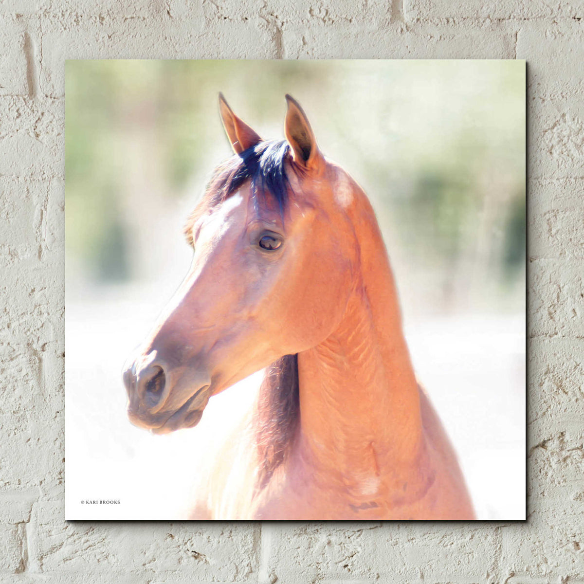Epic Art 'The Berry' by Kari Brooks, Acrylic Glass Wall Art,12x12