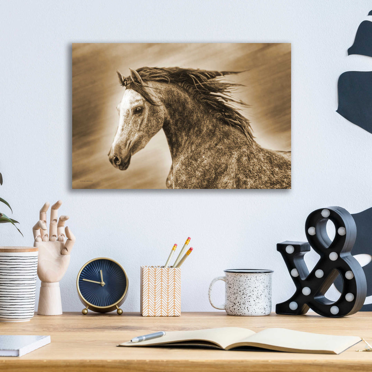Epic Art 'Addie Gray' by Kari Brooks, Acrylic Glass Wall Art,16x12
