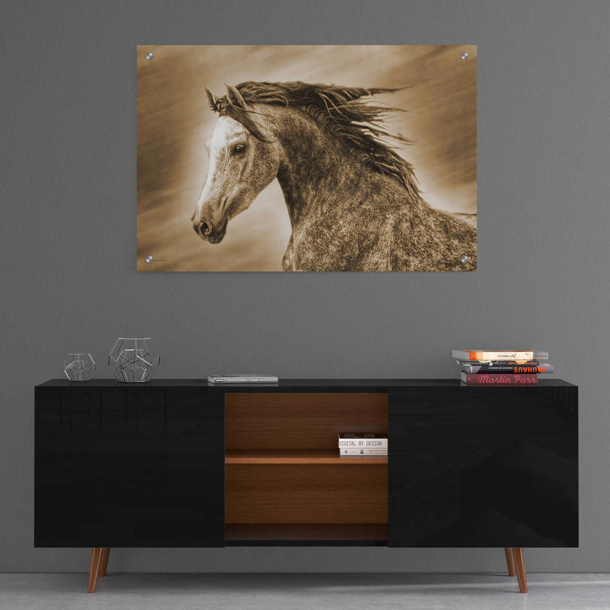 Epic Art 'Addie Gray' by Kari Brooks, Acrylic Glass Wall Art,36x24