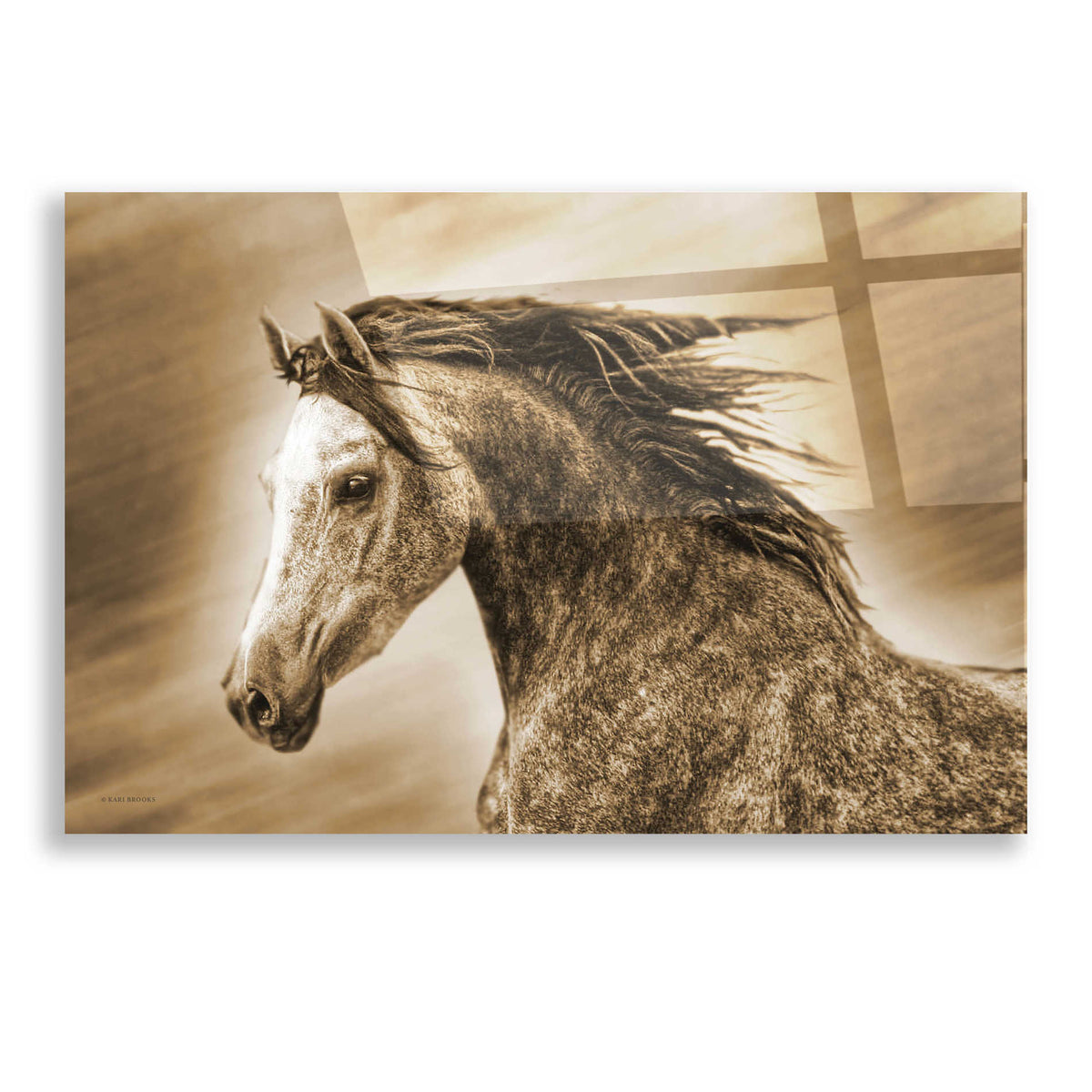 Epic Art 'Addie Gray' by Kari Brooks, Acrylic Glass Wall Art