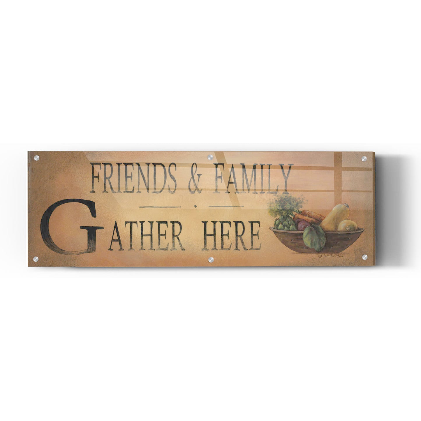 Epic Art 'Friends & Family' by Pam Britton, Acrylic Glass Wall Art,48x16