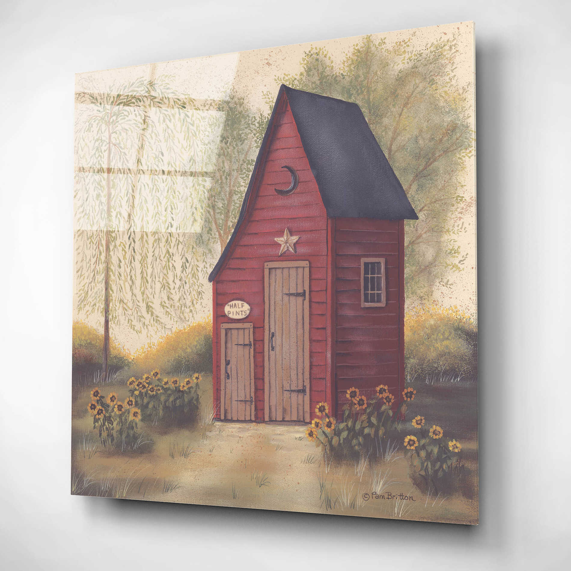 Epic Art 'Folk Art Outhouse II' by Pam Britton, Acrylic Glass Wall Art,12x12
