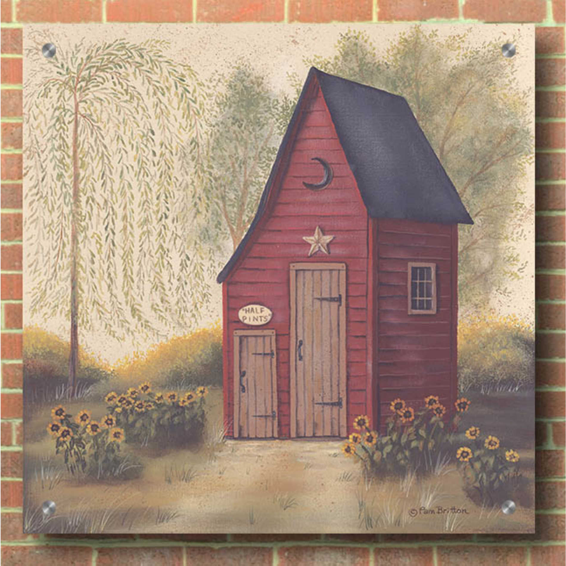 Epic Art 'Folk Art Outhouse II' by Pam Britton, Acrylic Glass Wall Art,36x36