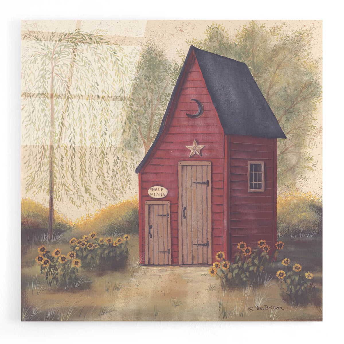 Epic Art 'Folk Art Outhouse II' by Pam Britton, Acrylic Glass Wall Art