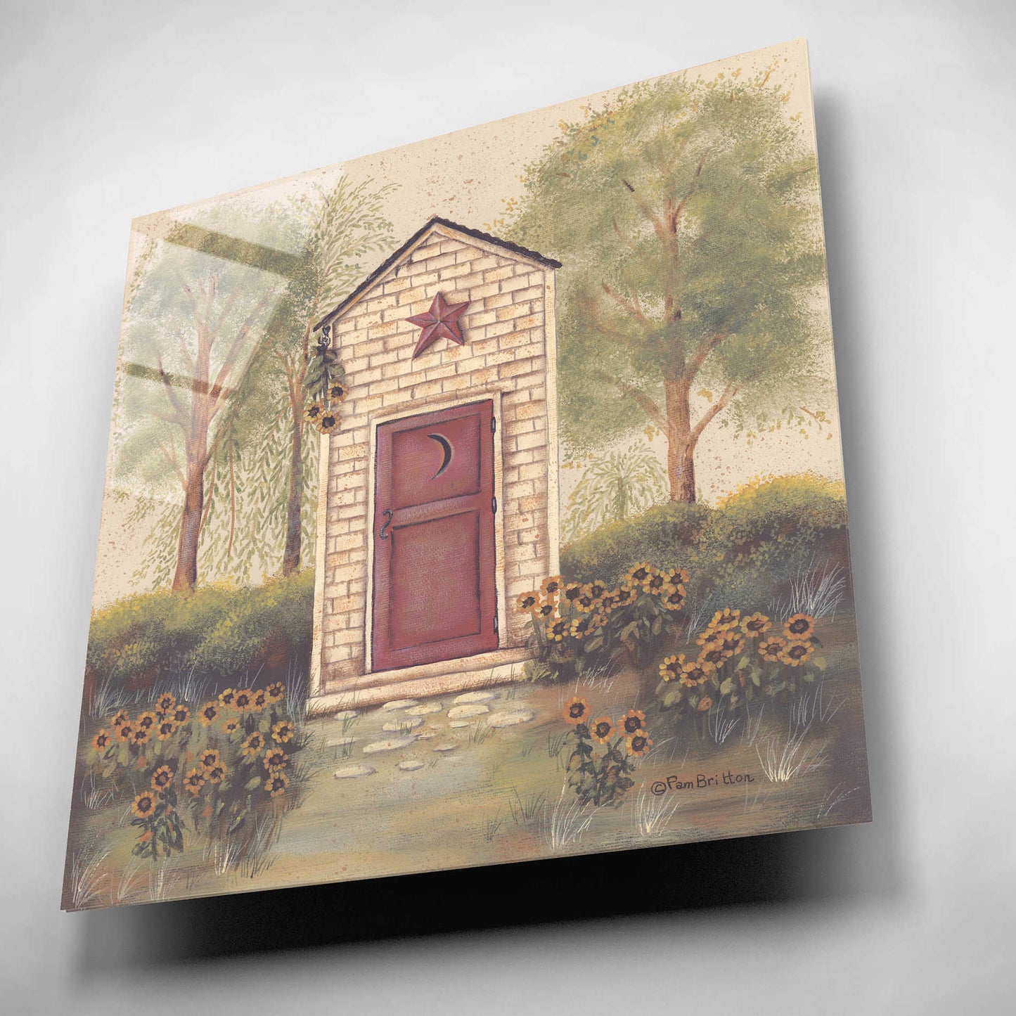 Epic Art 'Folk Art Outhouse III' by Pam Britton, Acrylic Glass Wall Art,12x12