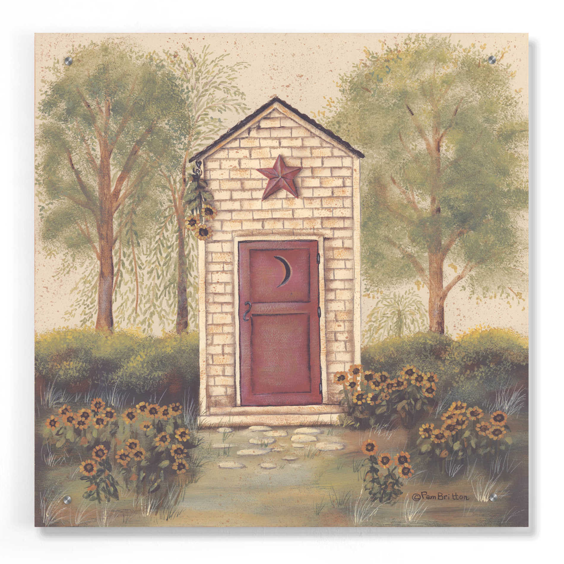 Epic Art 'Folk Art Outhouse III' by Pam Britton, Acrylic Glass Wall Art,24x24