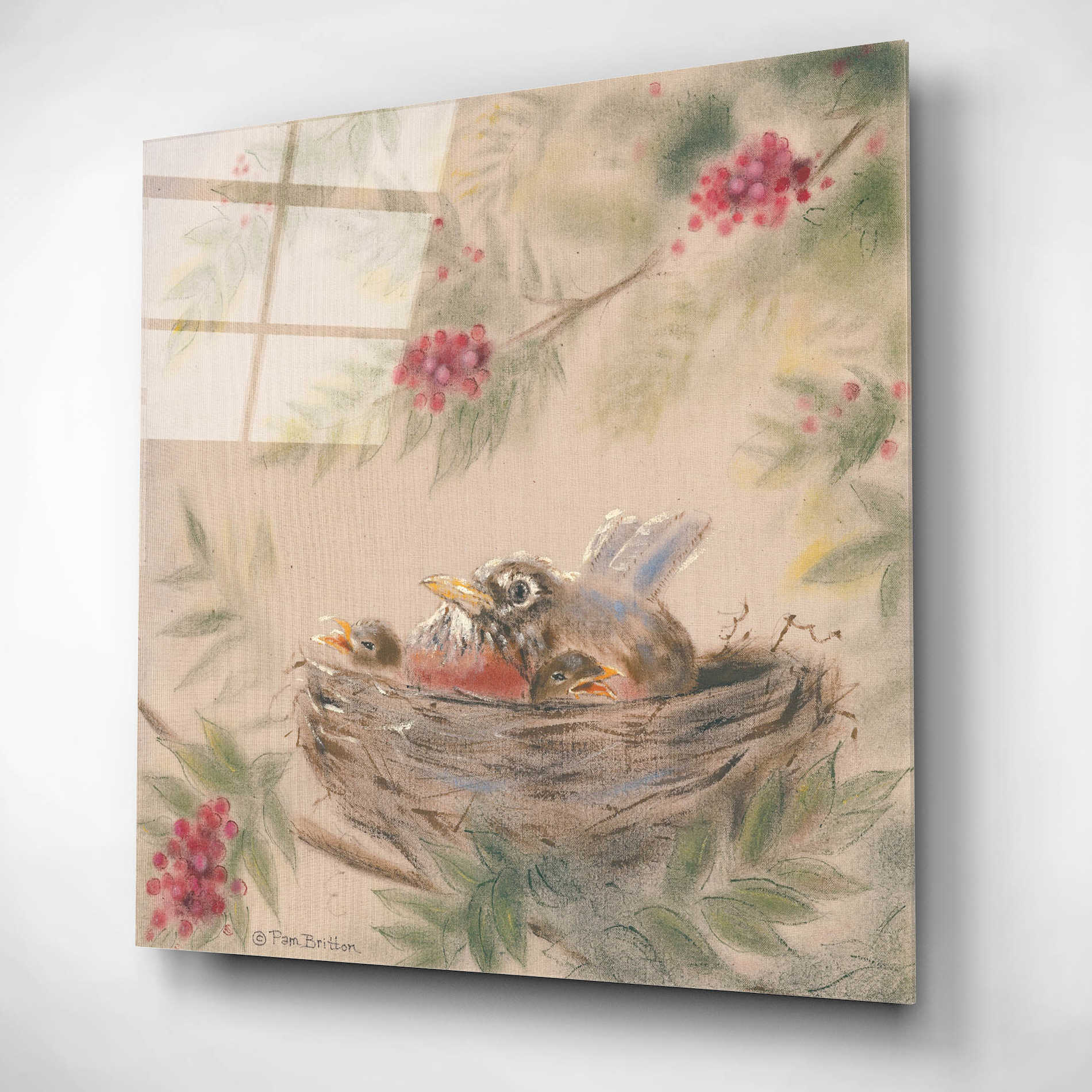 Epic Art 'Fledglings' by Pam Britton, Acrylic Glass Wall Art,12x12