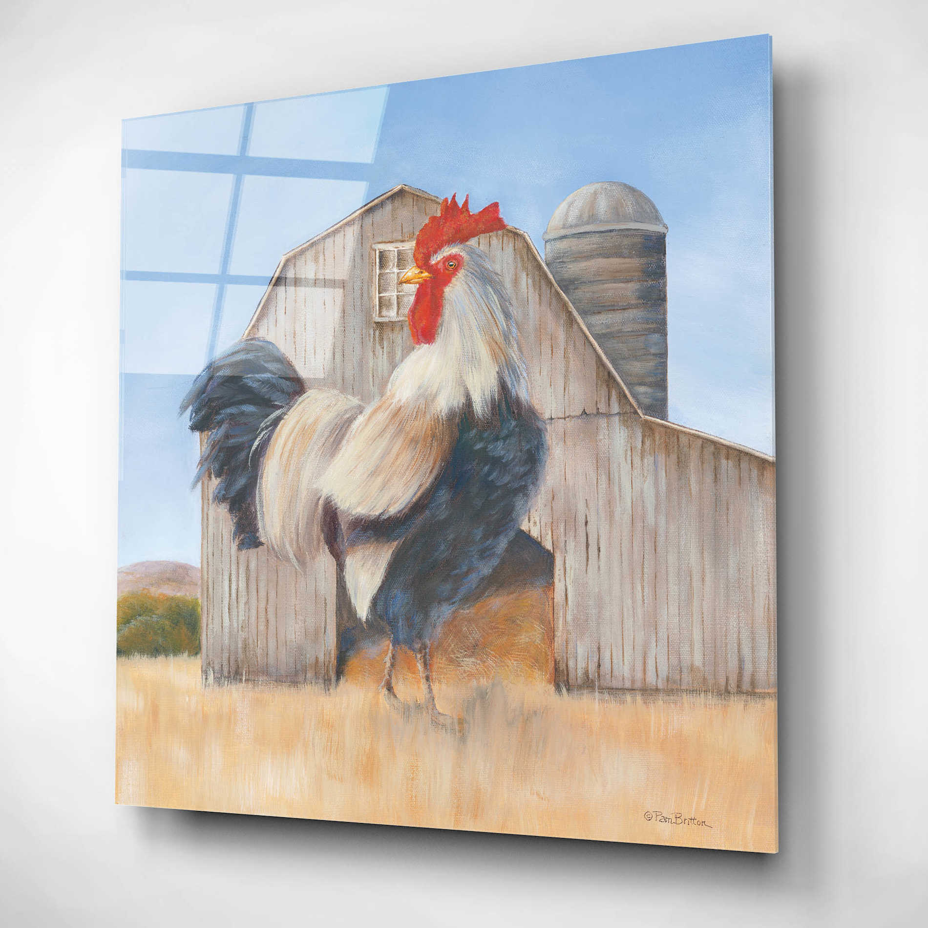 Epic Art 'Country Rooster' by Pam Britton, Acrylic Glass Wall Art,12x12