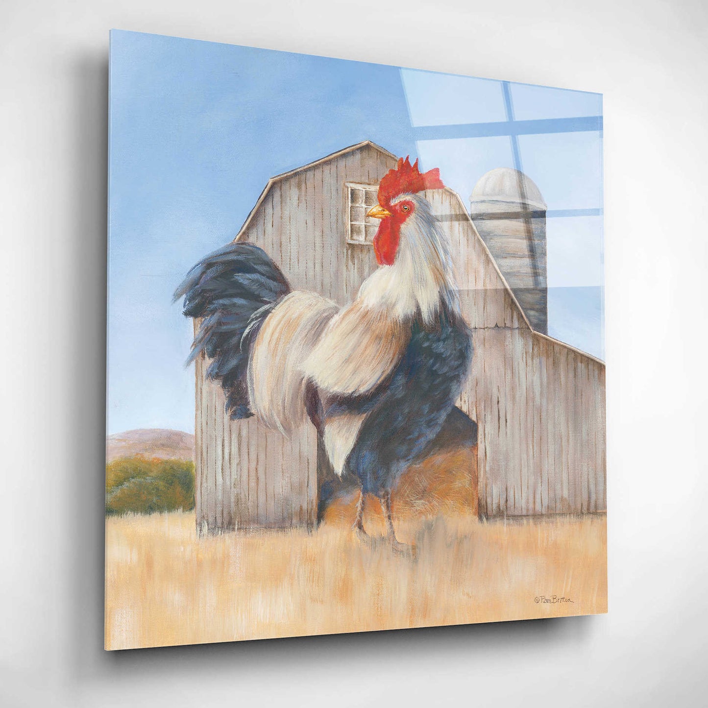Epic Art 'Country Rooster' by Pam Britton, Acrylic Glass Wall Art,12x12
