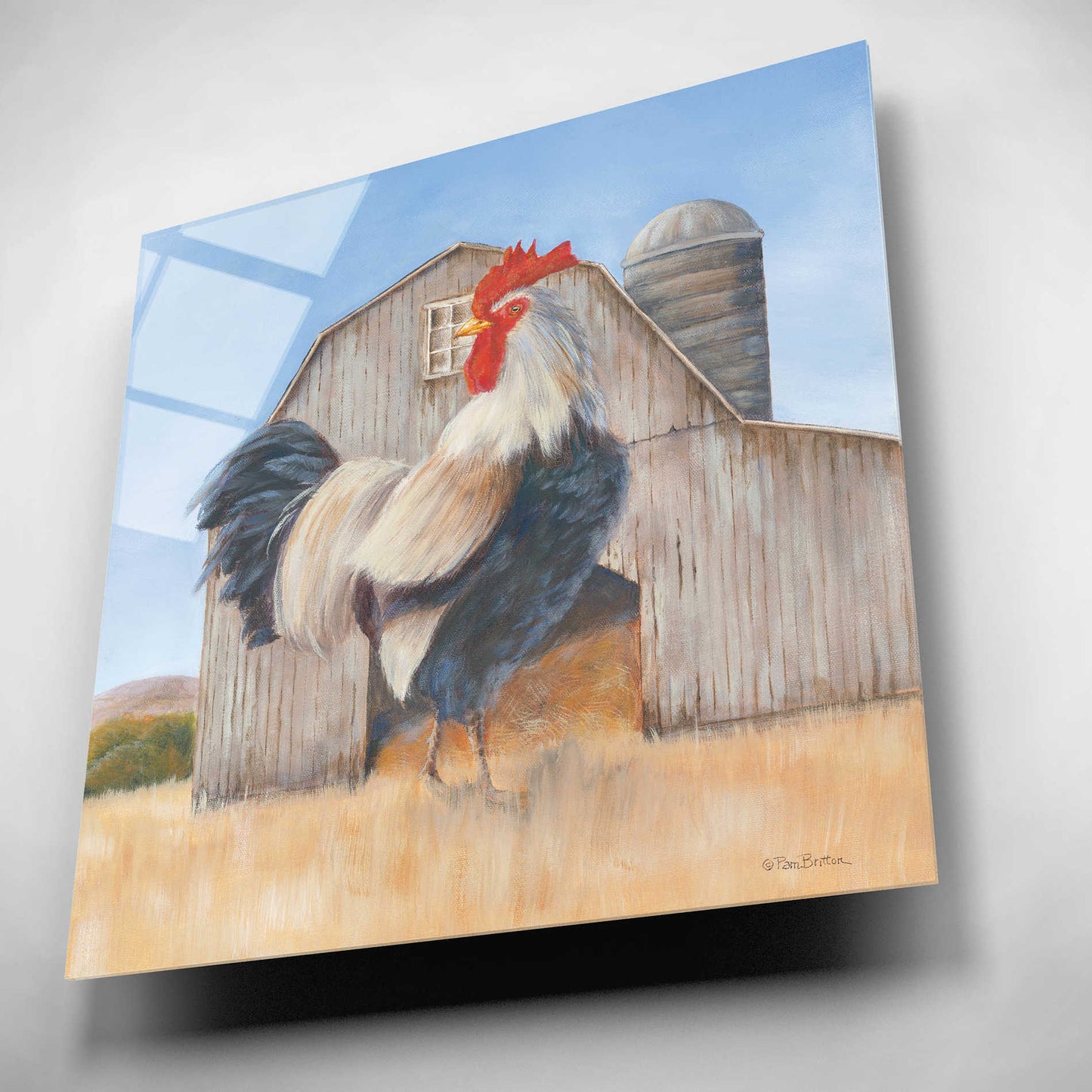 Epic Art 'Country Rooster' by Pam Britton, Acrylic Glass Wall Art,12x12