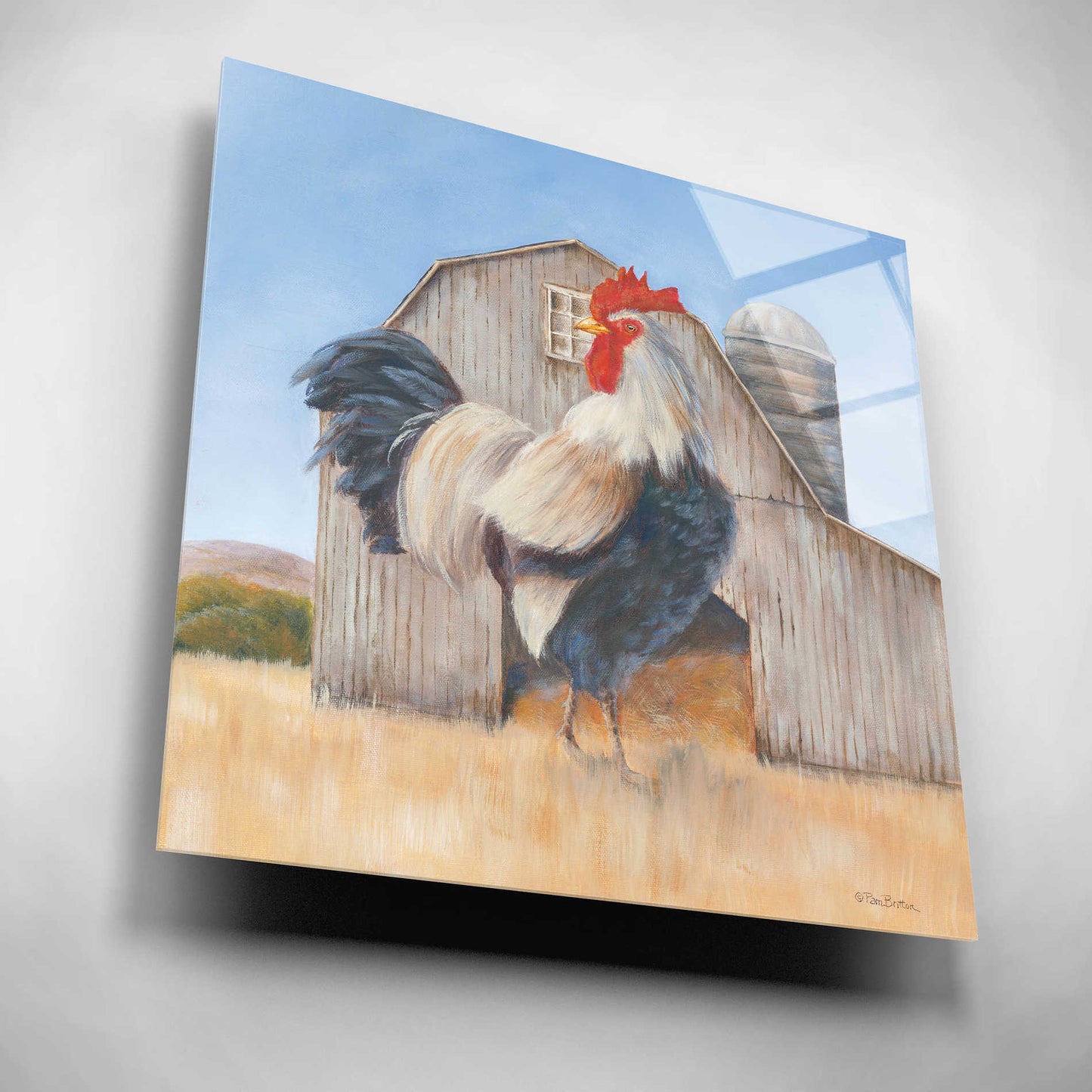 Epic Art 'Country Rooster' by Pam Britton, Acrylic Glass Wall Art,12x12