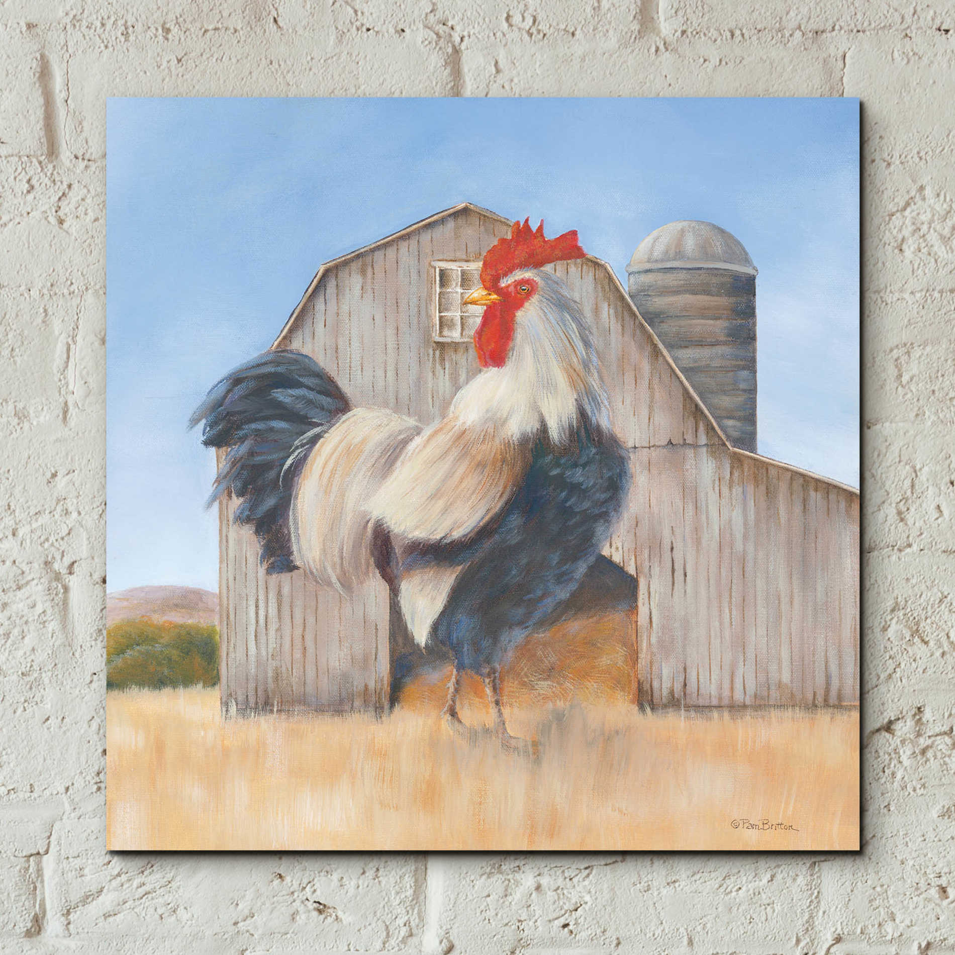 Epic Art 'Country Rooster' by Pam Britton, Acrylic Glass Wall Art,12x12