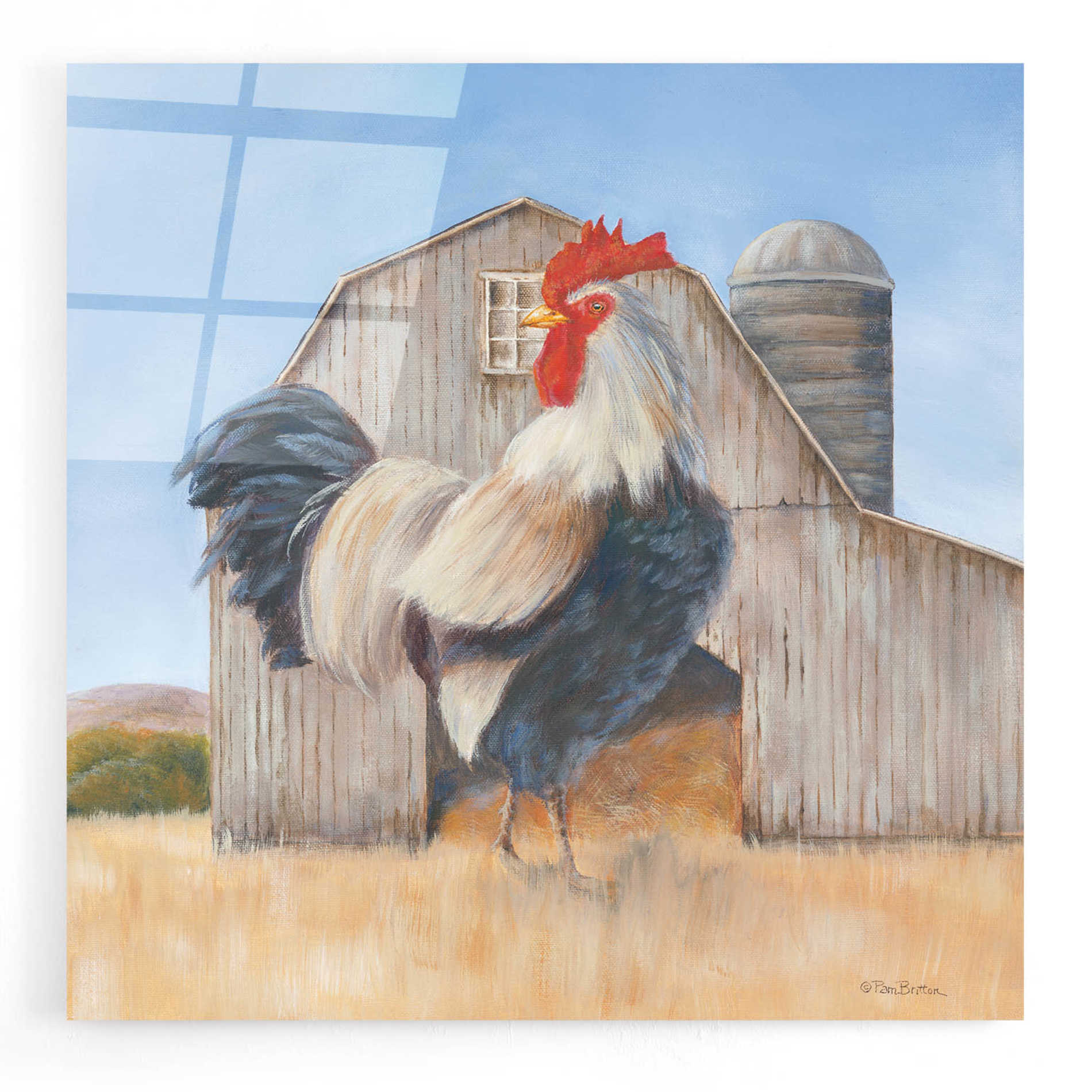 Epic Art 'Country Rooster' by Pam Britton, Acrylic Glass Wall Art,12x12